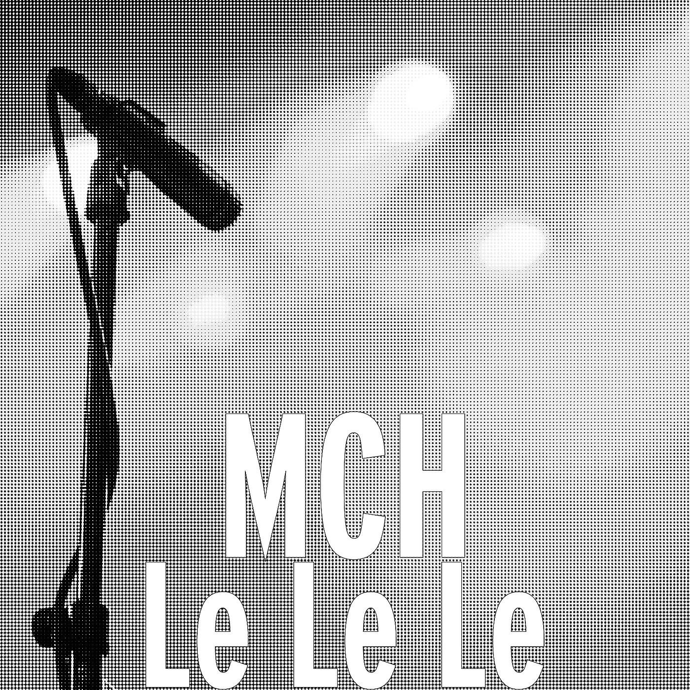 Постер альбома Le Le Le