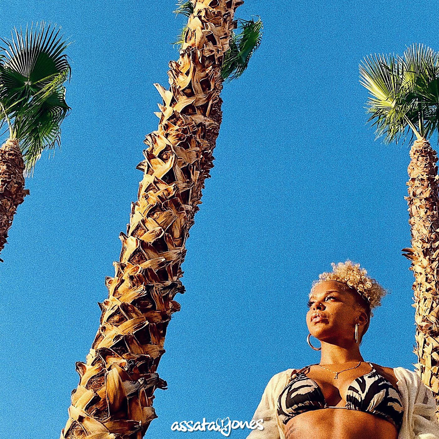 Постер альбома Palm Trees