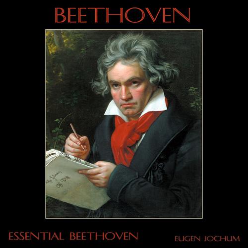 Постер альбома Beethoven: Essential Beethoven