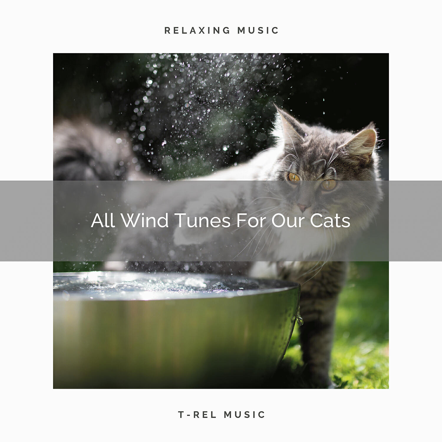 Pets Relax - Calming Sea Songs For Household Cats