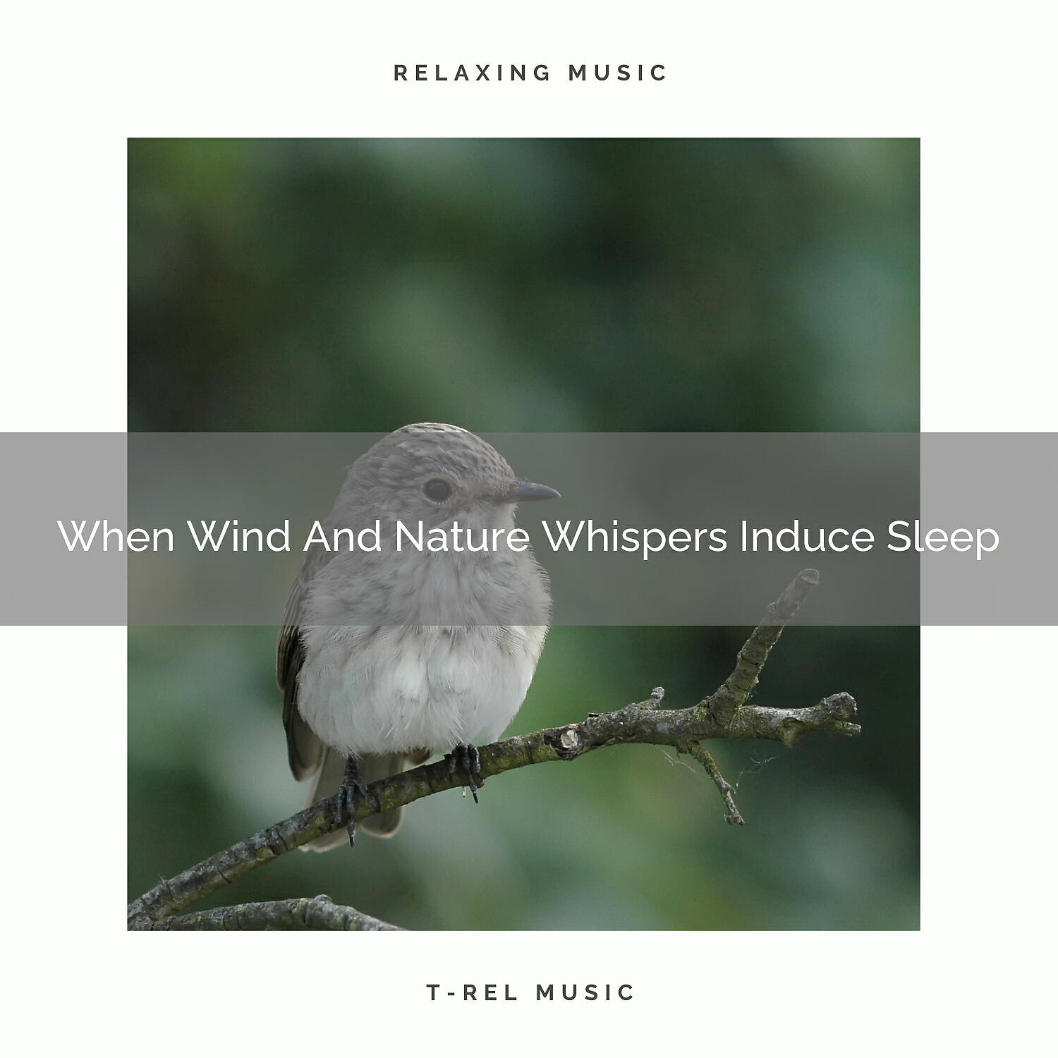 Baby Sleep Music - When Wind And Nature Whispers Induce Sleep