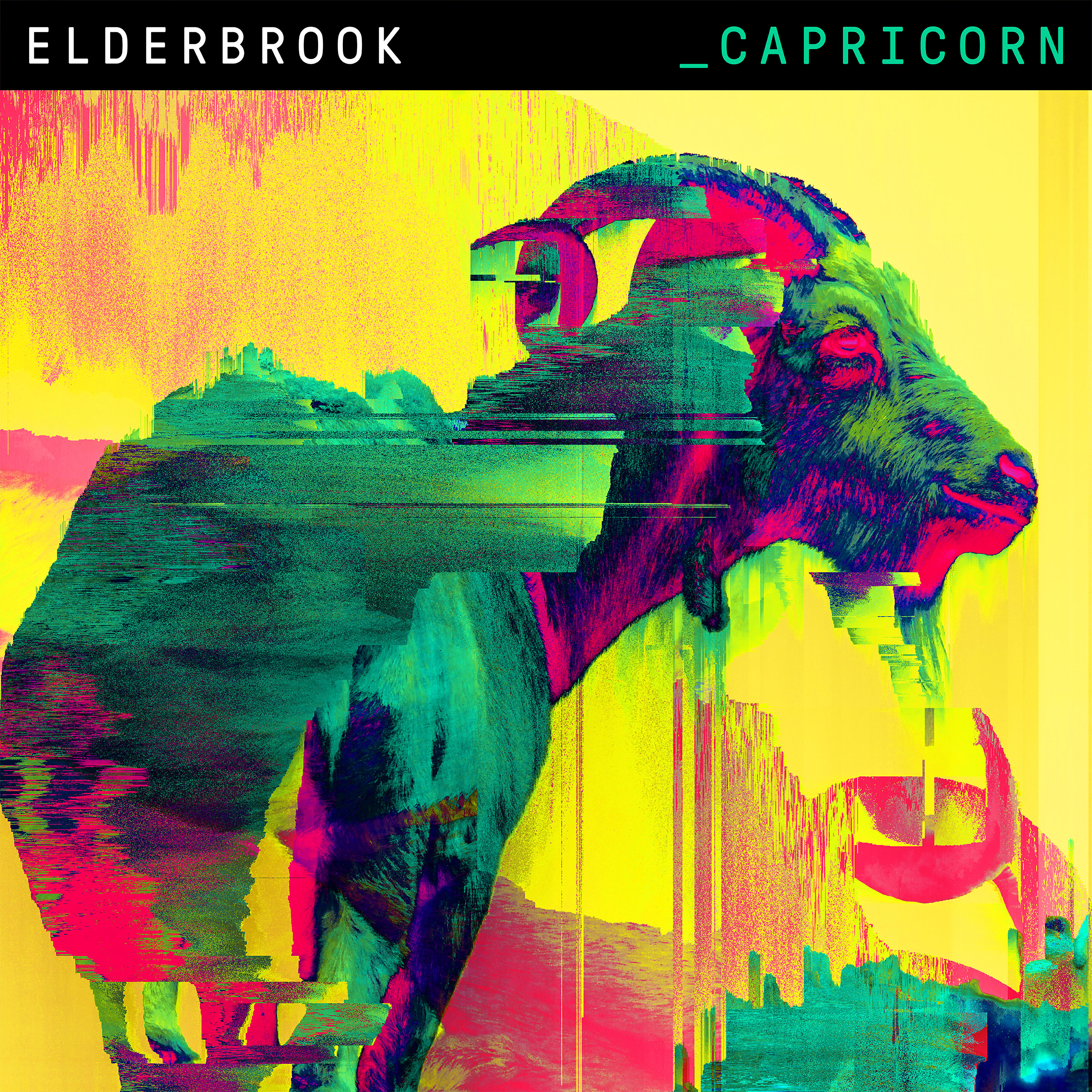 Elderbrook - Capricorn (Skream Remix) [Edit]