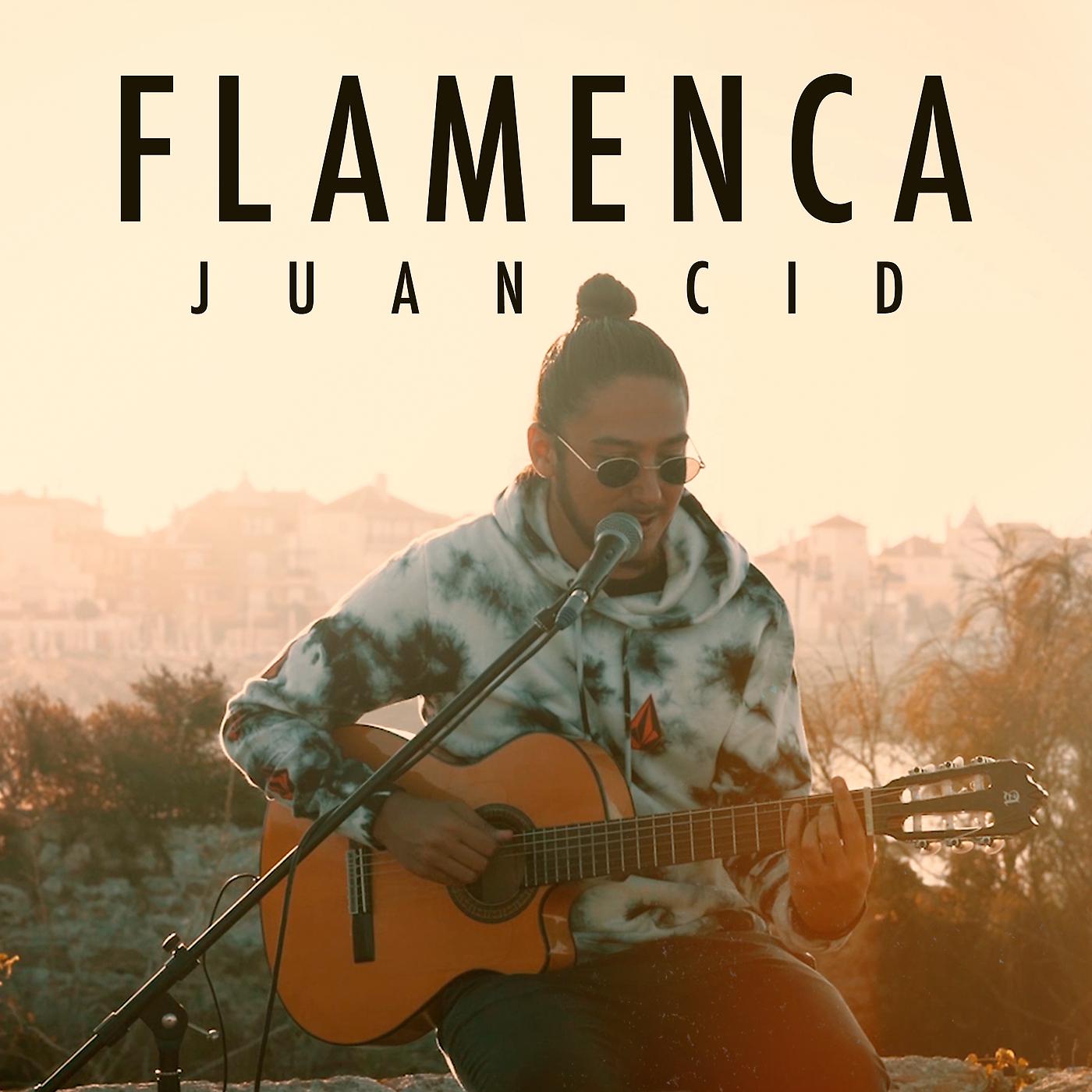Постер альбома Flamenca