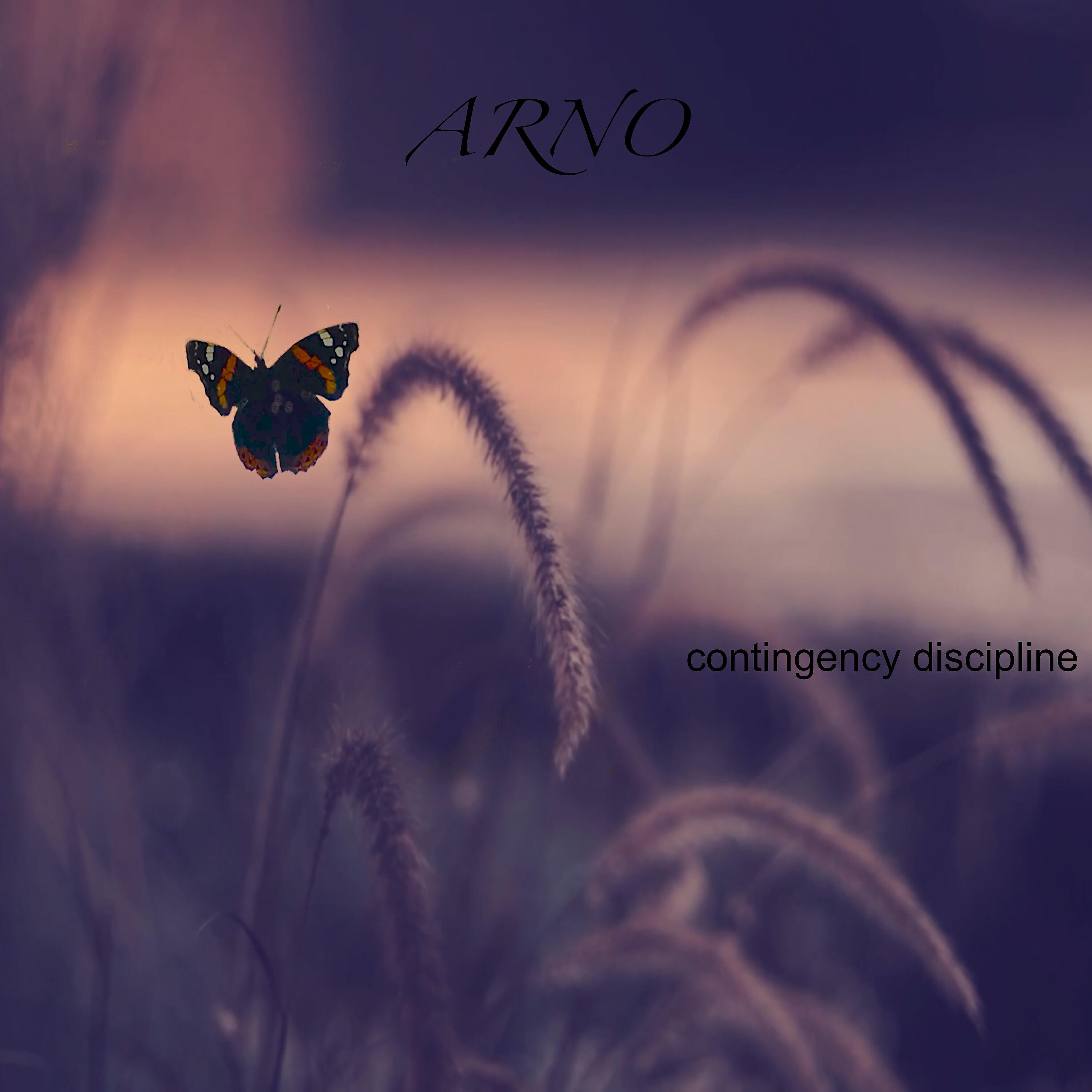 \\RNO - Distracted