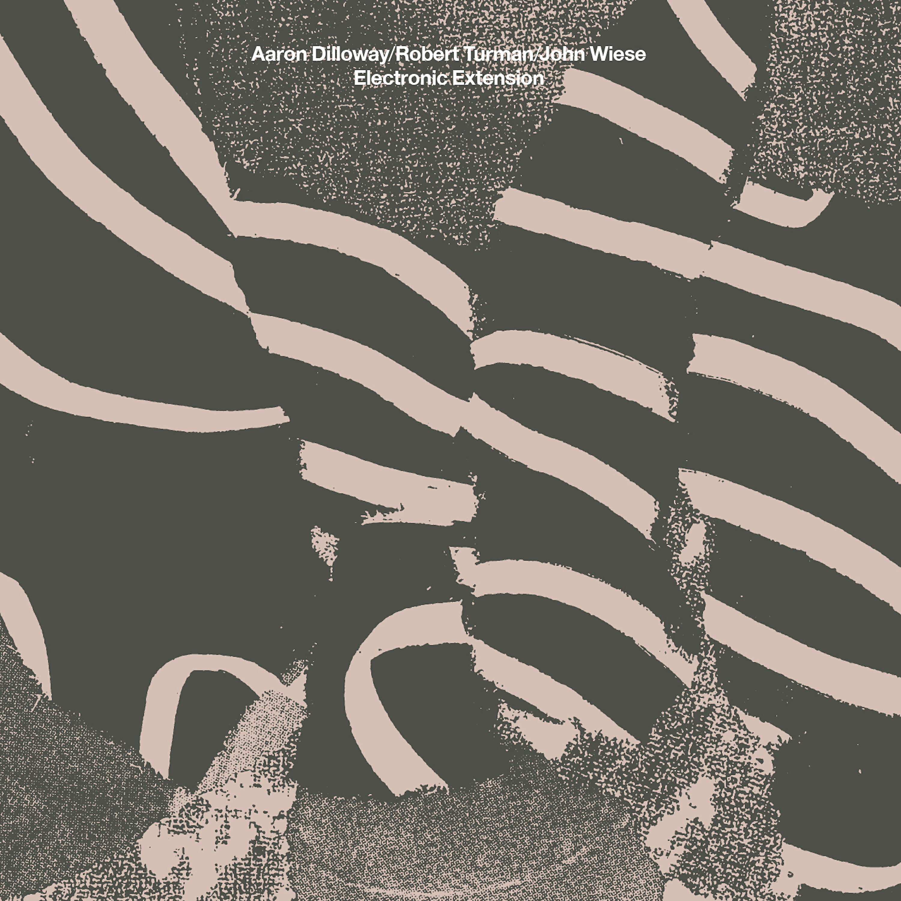 Aaron Dilloway - Electronic Extension I