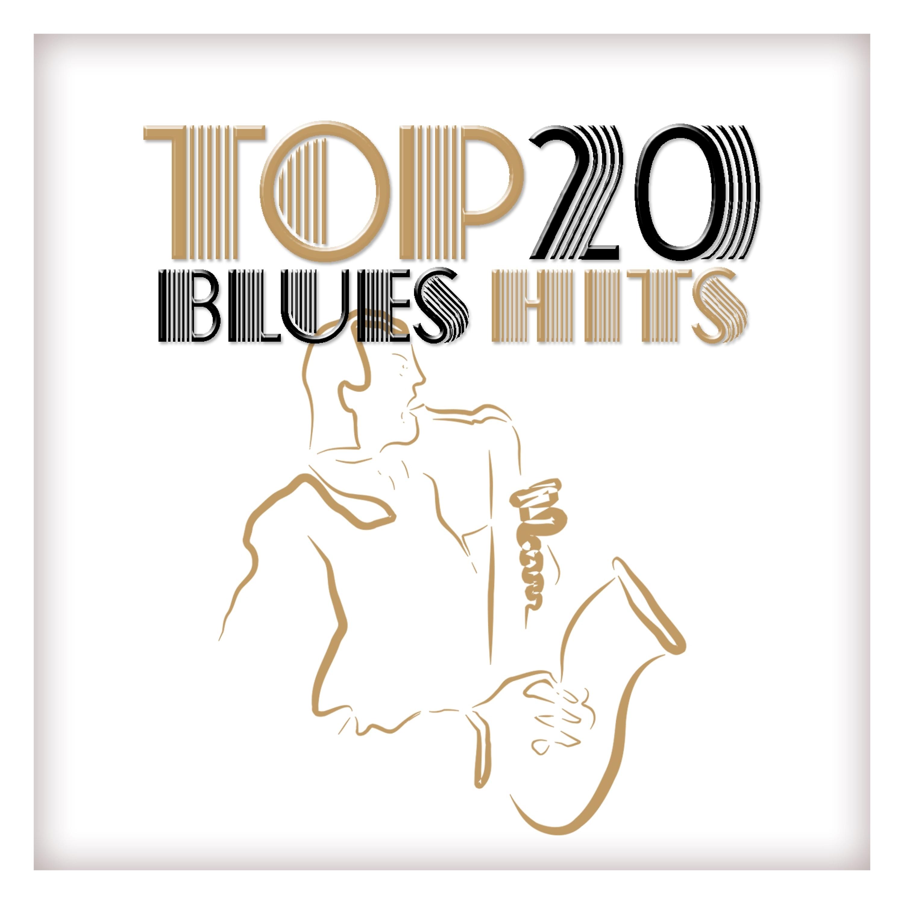 Постер альбома Top 20 Blues Hits