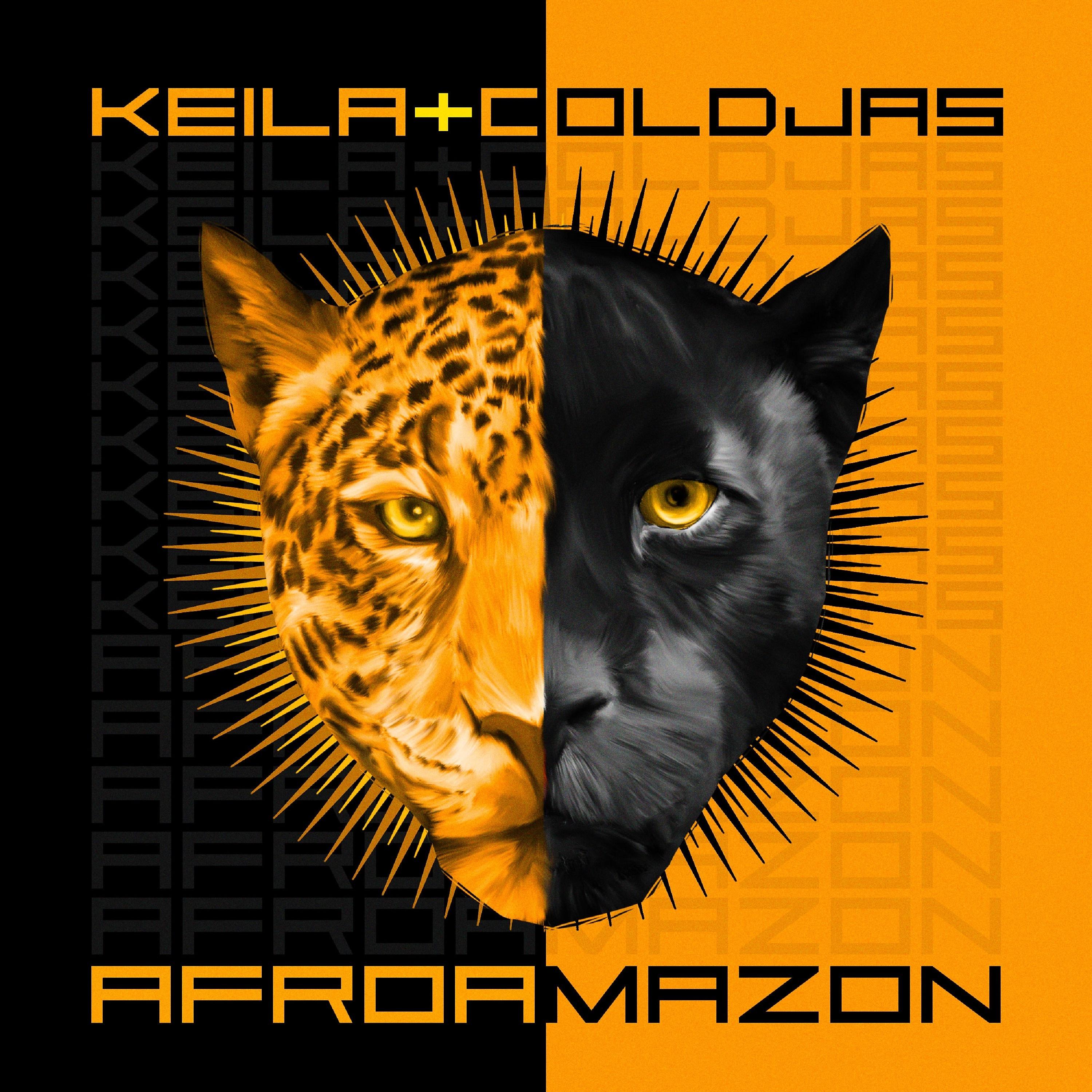 Постер альбома Afroamazon