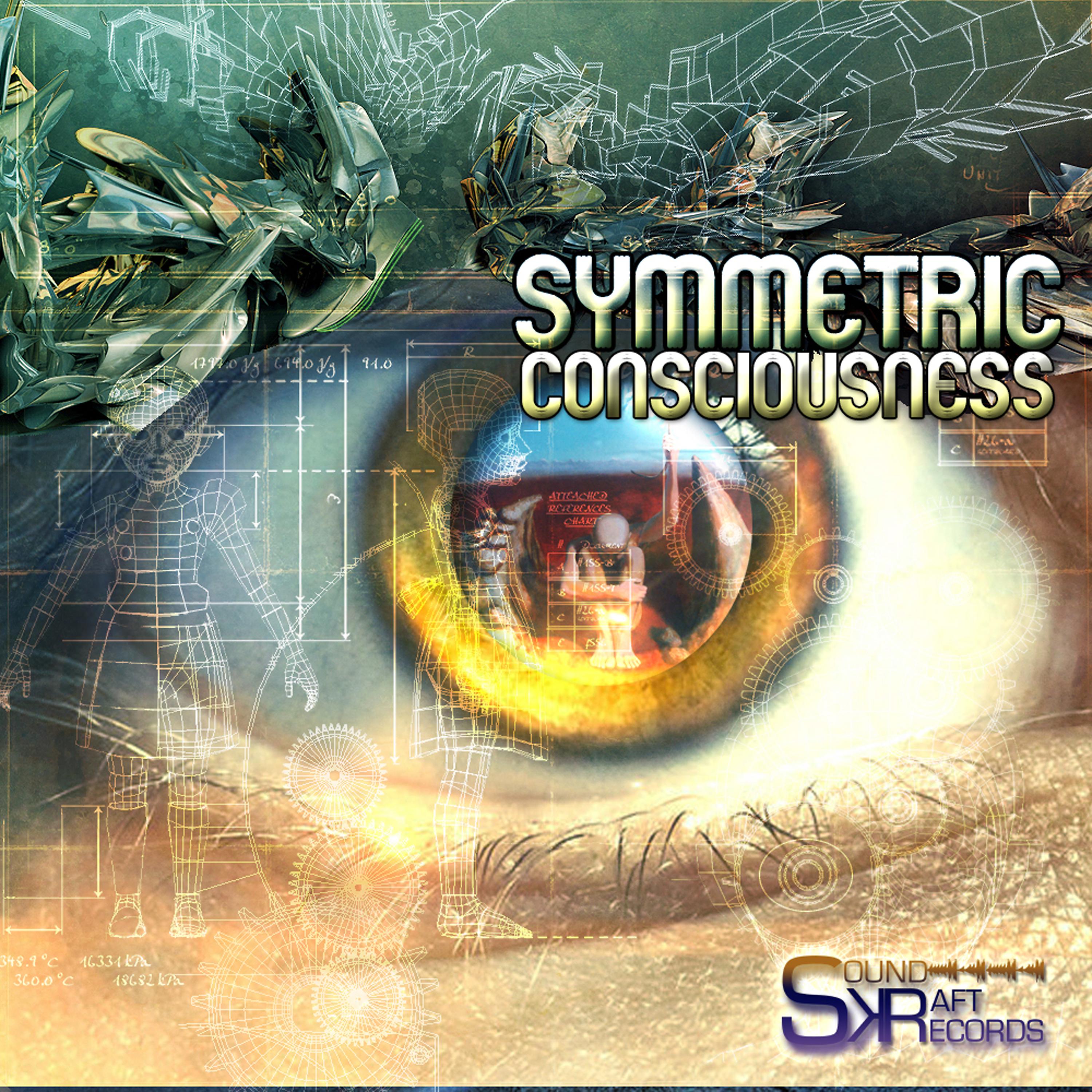 Постер альбома Symmetric Consciousness