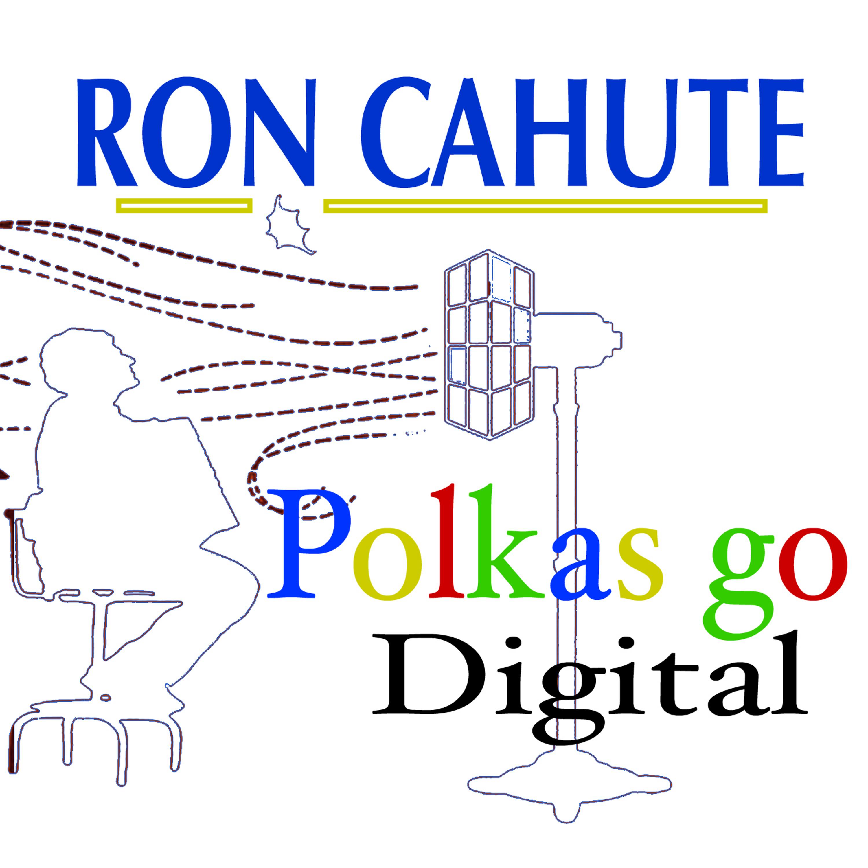 Постер альбома Polkas Go Digital