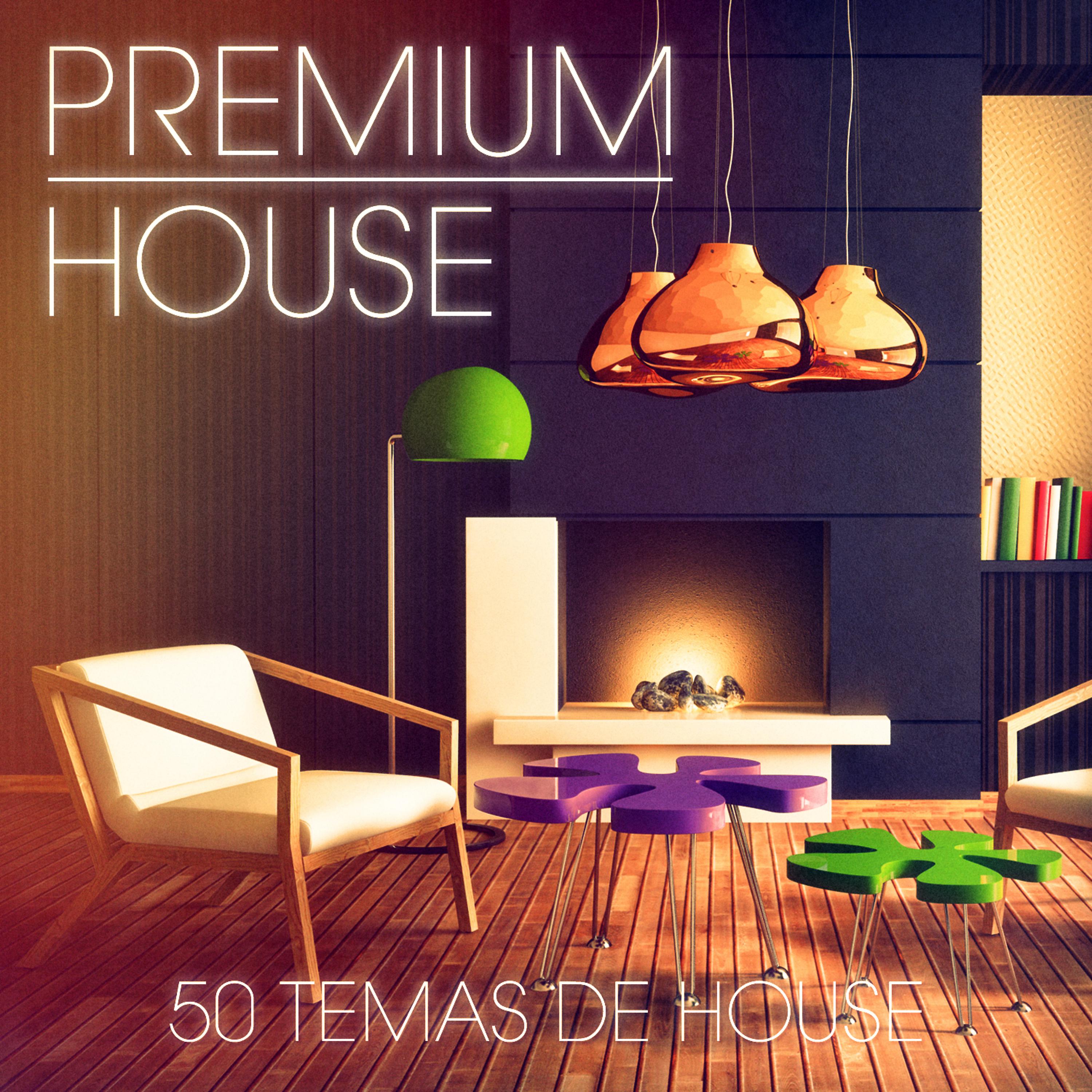Постер альбома Premium House Music, Vol. 2 (House Sofisticado y Profundo para el Discotero Exigente)