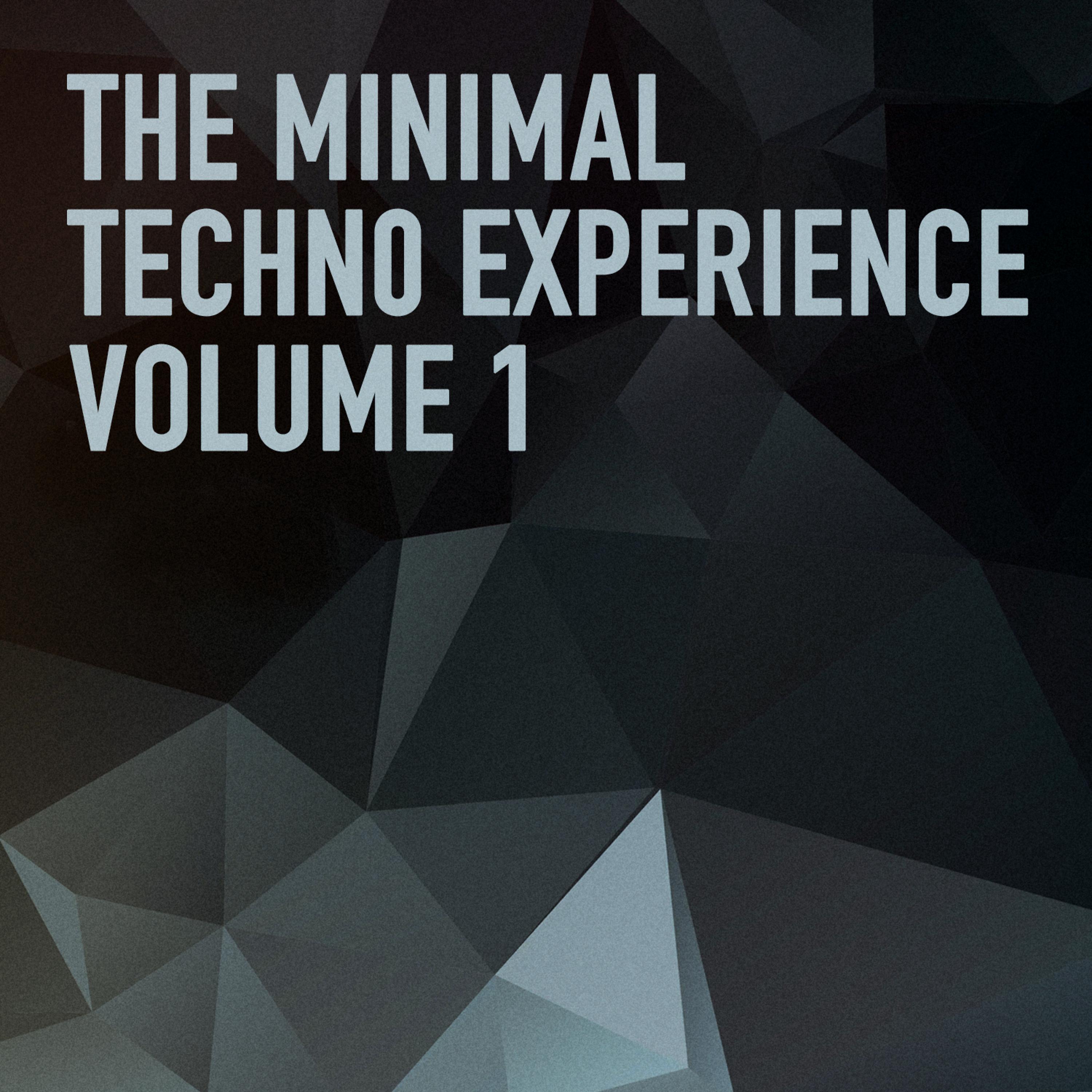 Постер альбома The Minimal Techno Experience