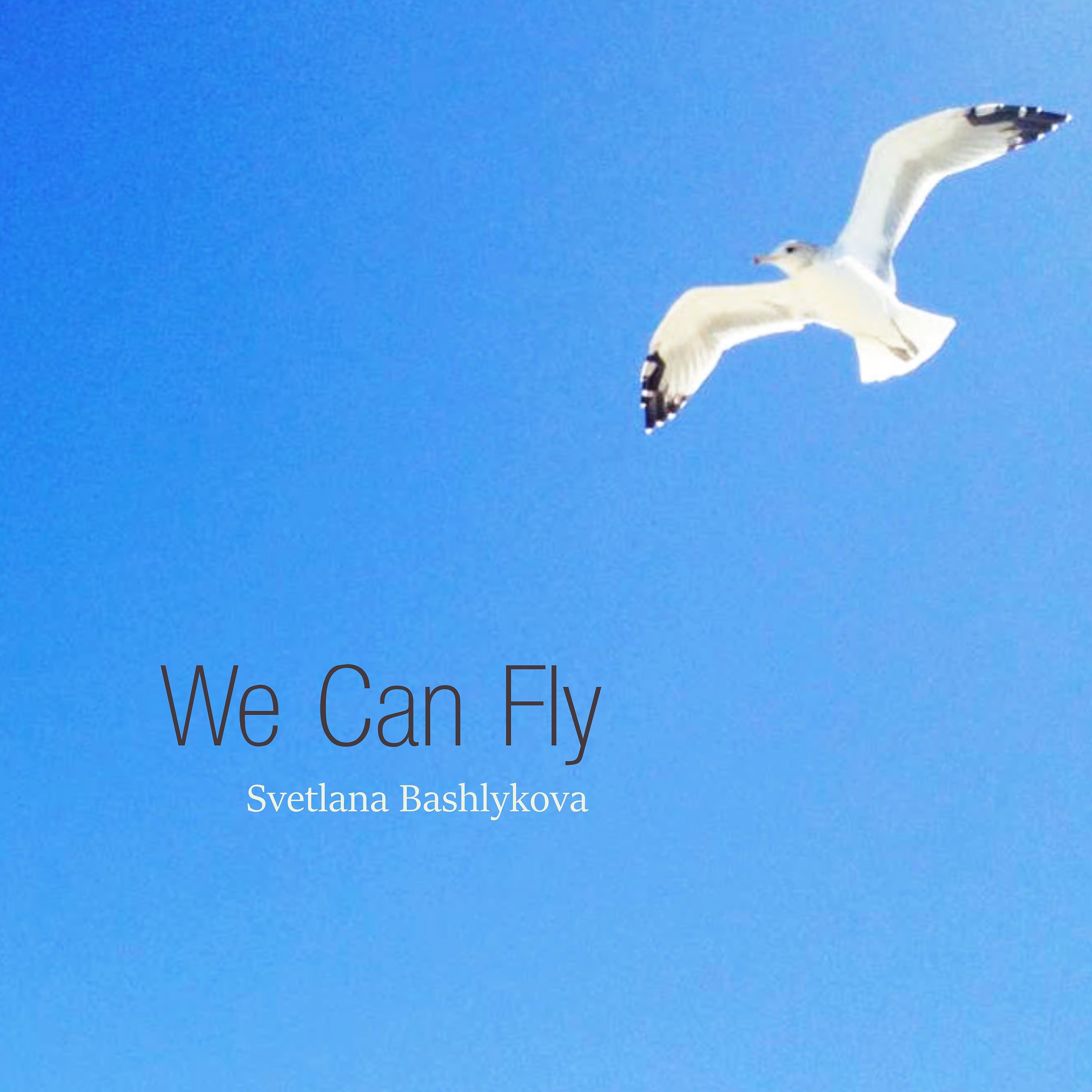 Постер альбома We Can Fly