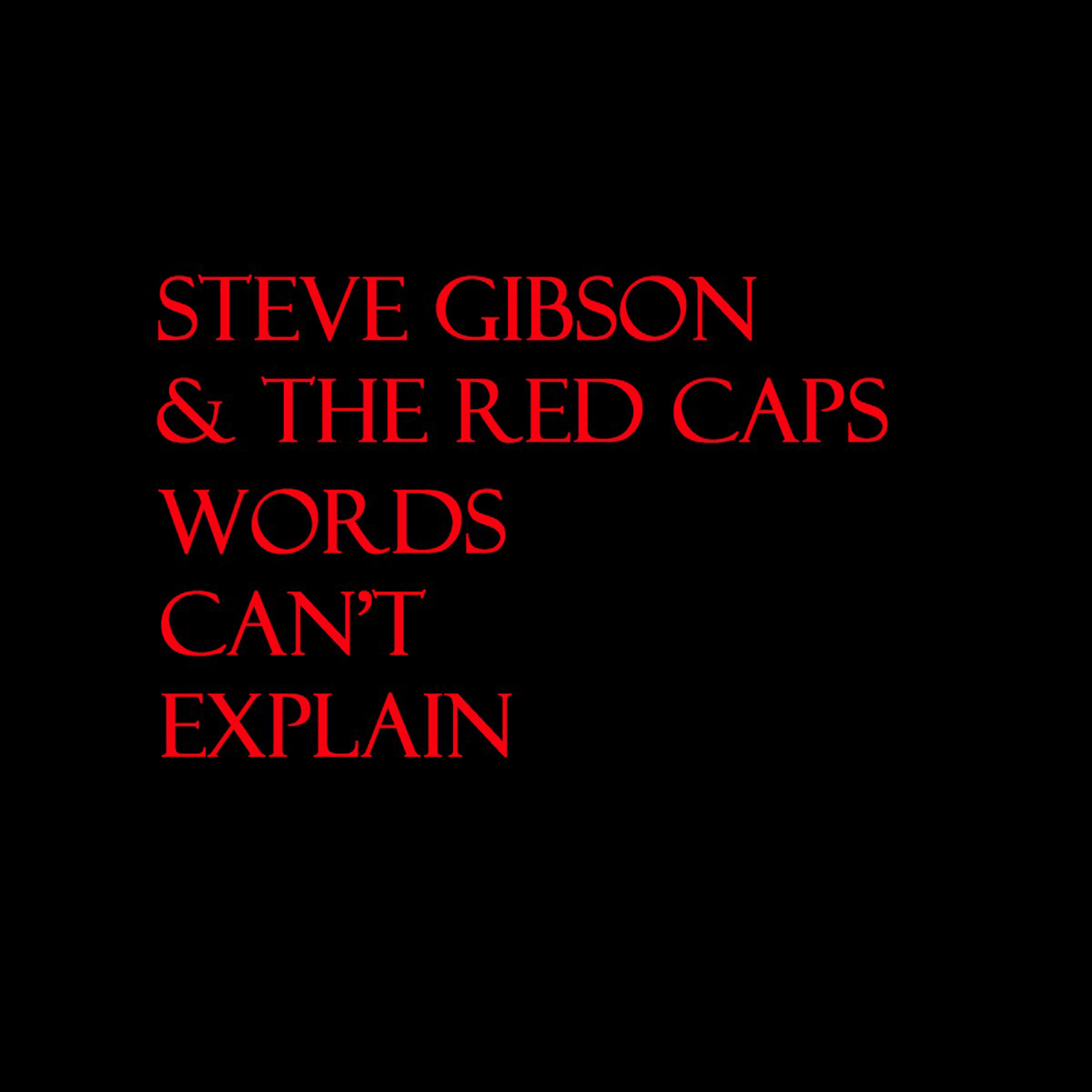 Steve Gibson - I'll Never Love Anyone Else