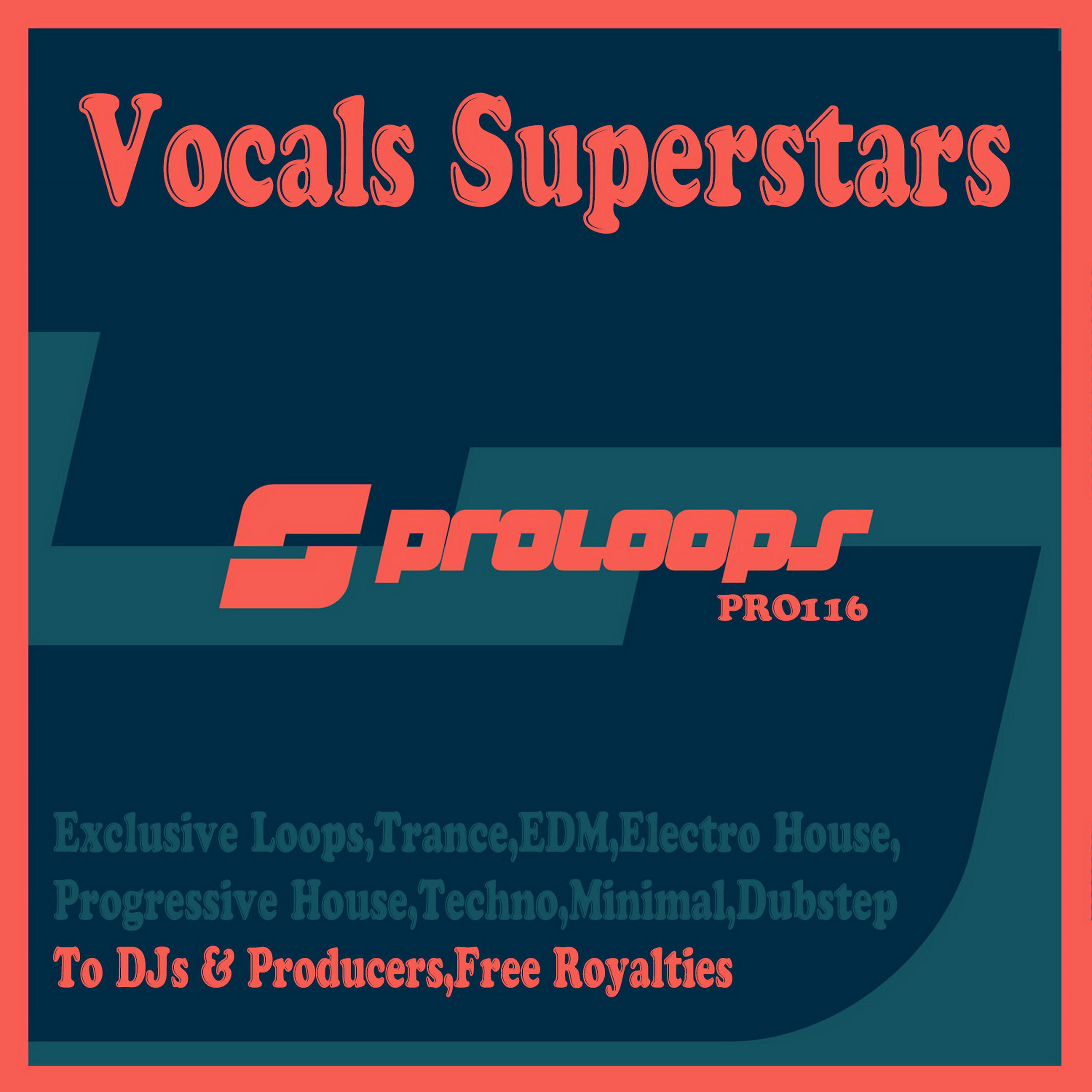 Постер альбома Vocals Superstars DJ Tools