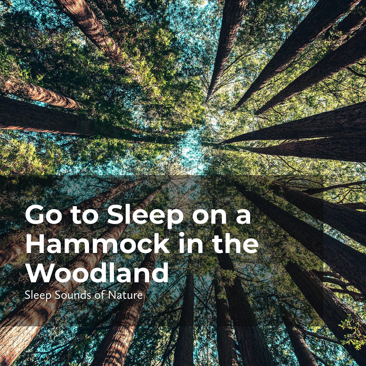 Постер альбома Go to Sleep on a Hammock in the Woodland