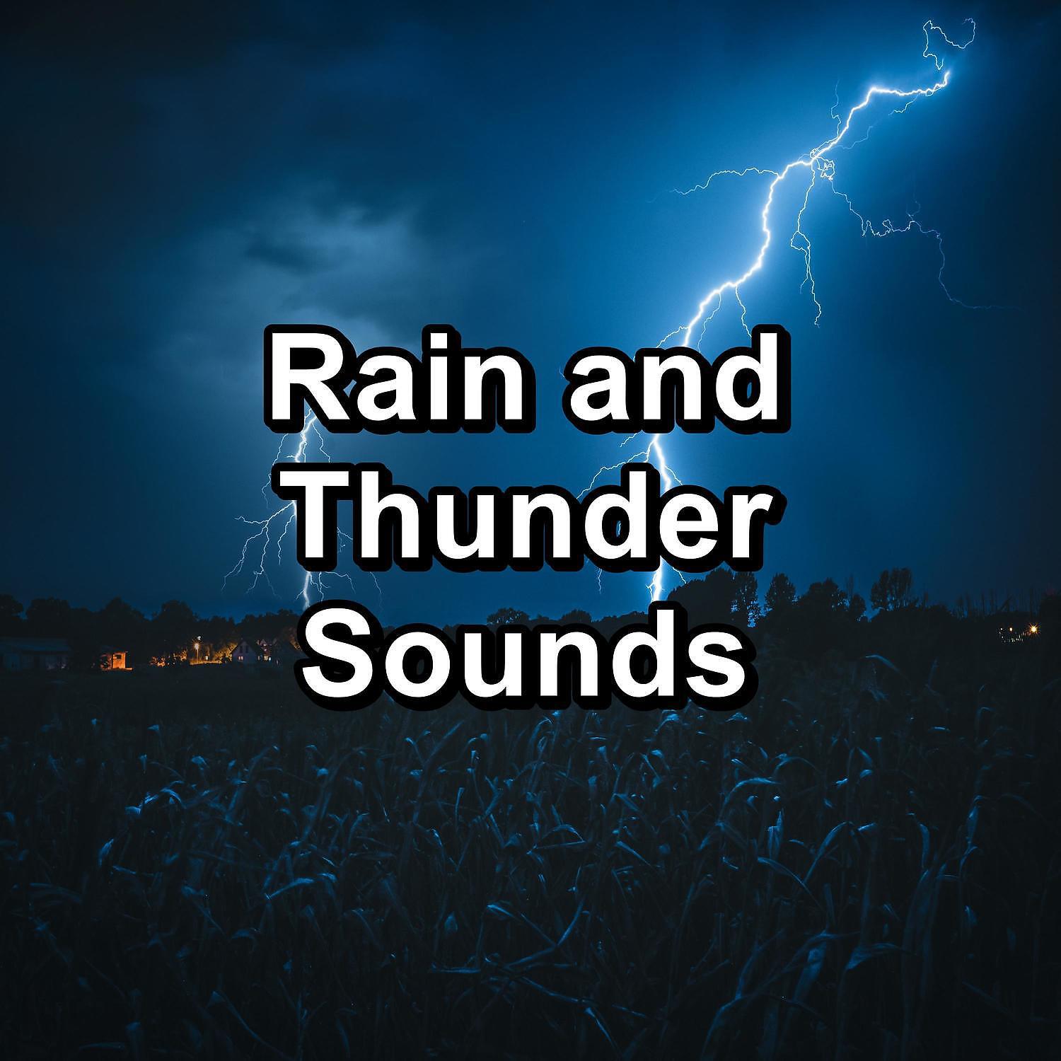 Deep Sleep Meditation - Rain Sounds on a Tin Roof To Relax and Loop for 8 Hours