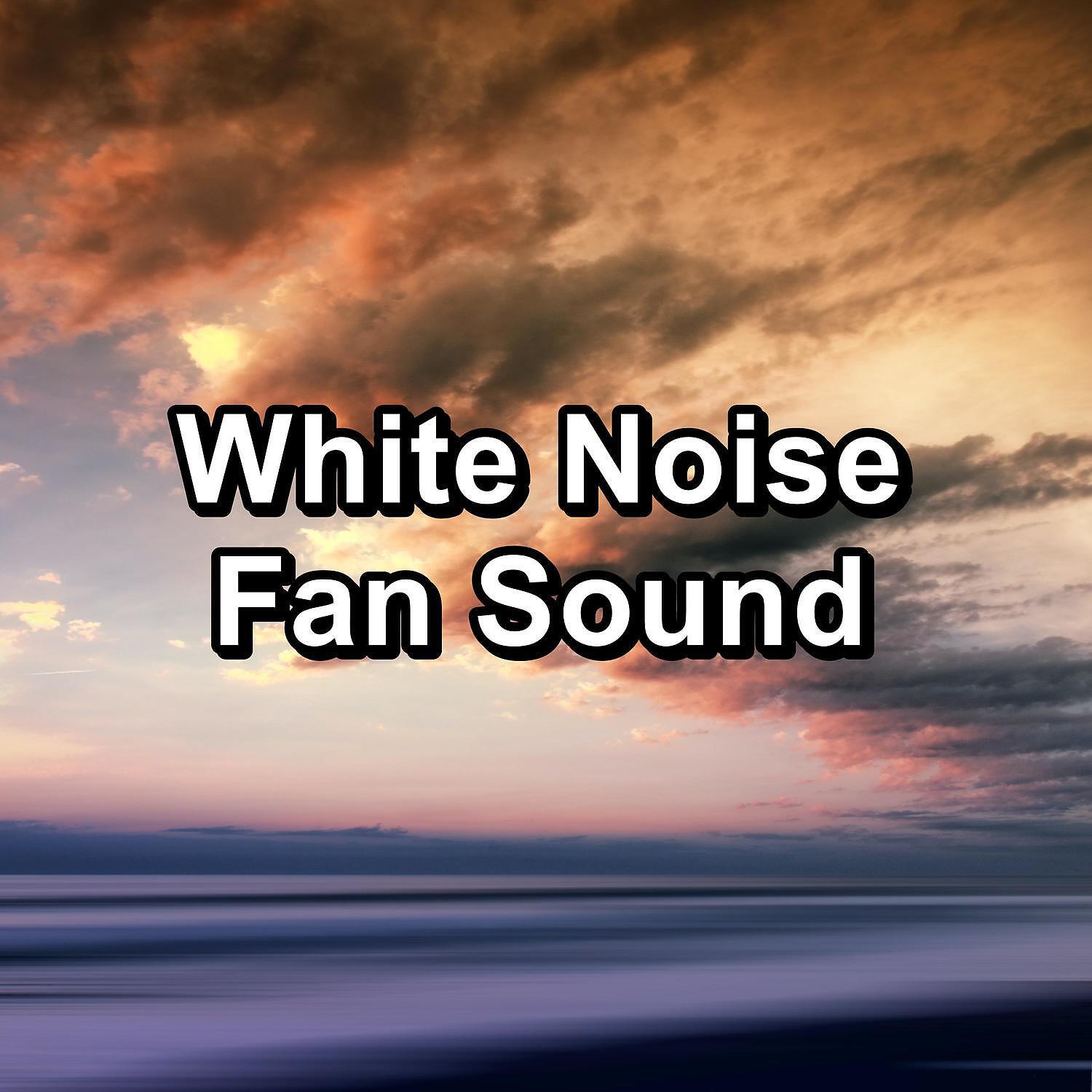 White Noise Babies - White Nois LPF 144 Hz