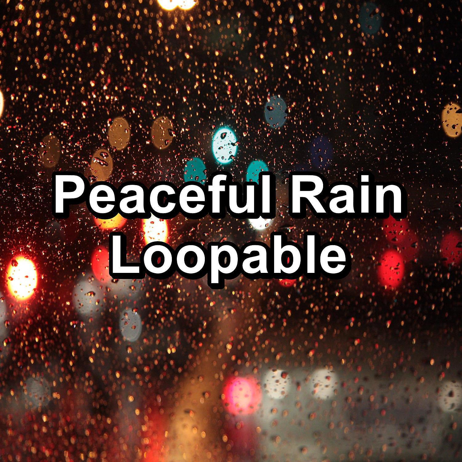 Life Sounds Nature - Distant Rain in the Rainy Forest Pure Sounds to Help Insomnia
