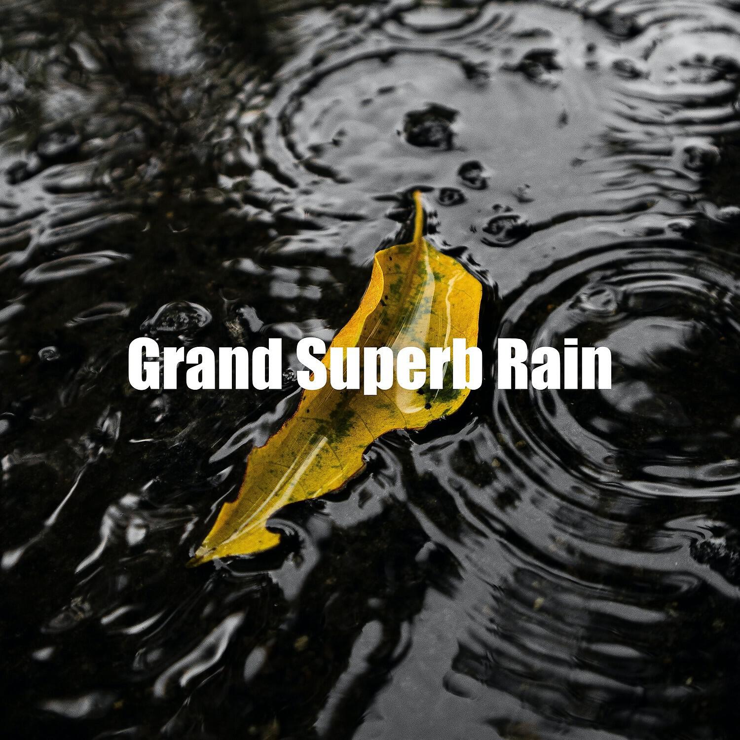Rain Recordings - Grand Superb Rain