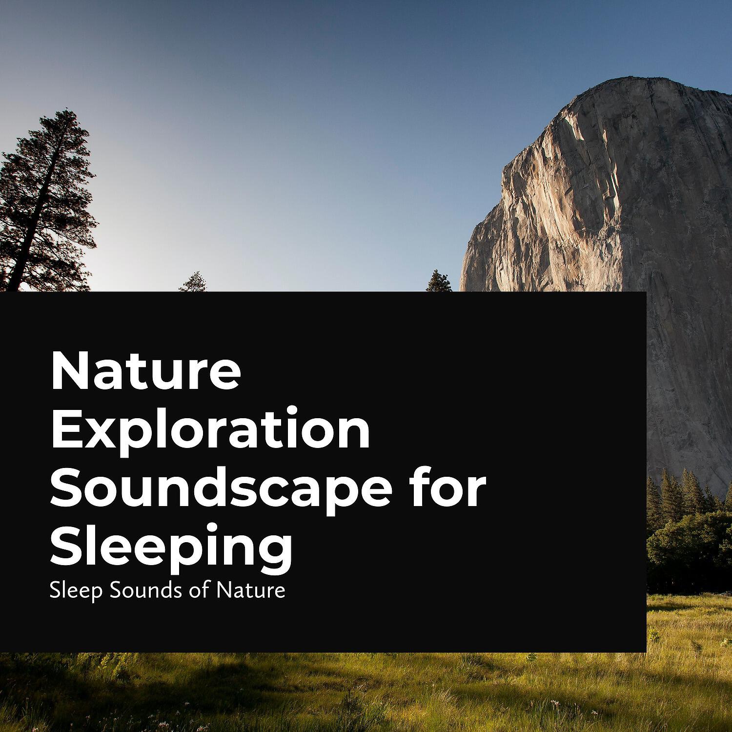 Sleep Sounds Of Nature - Cold River Spattering