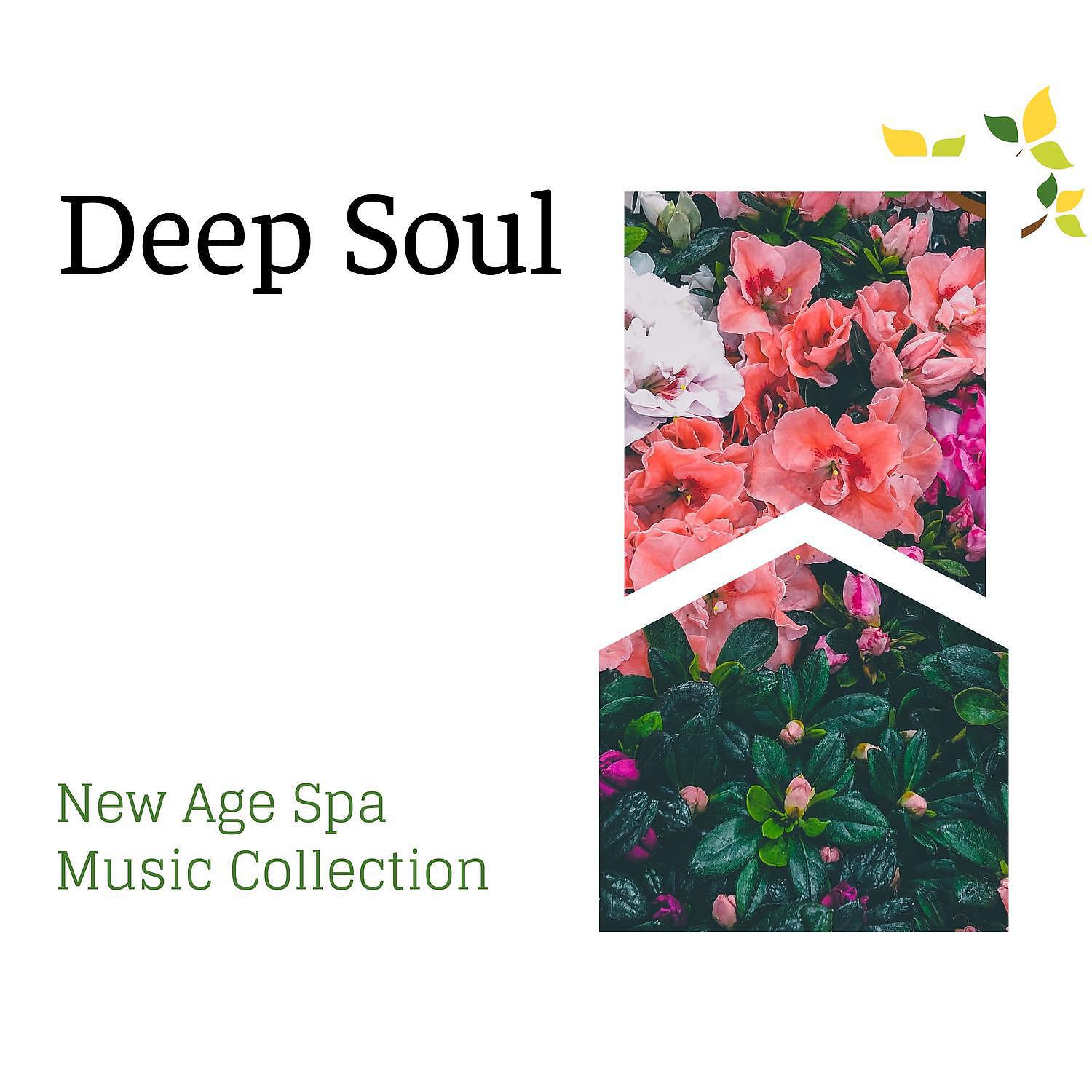 Spa Music Relaxation - Lowering Stress Level