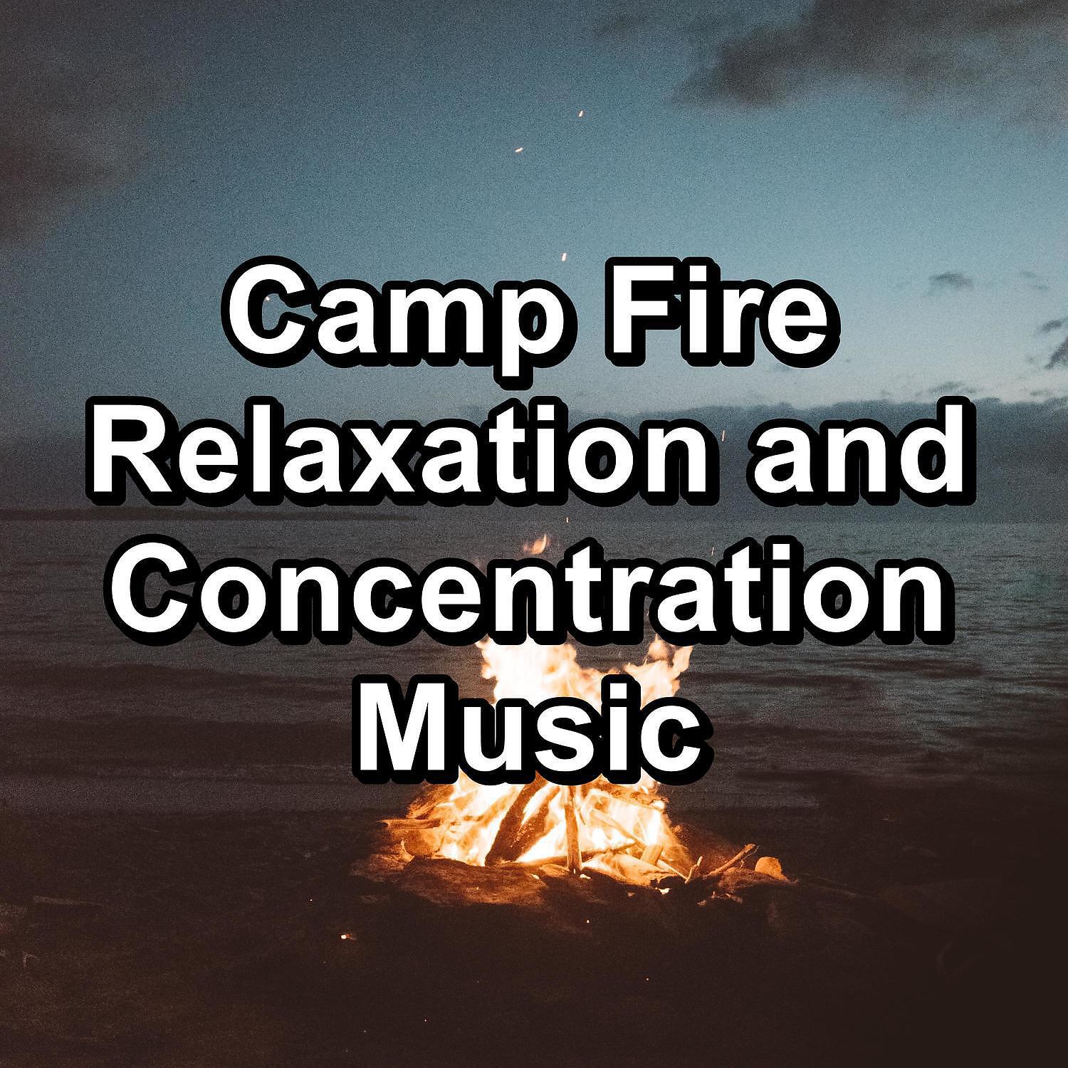 Fire Sounds & Fireplace Sounds - Fire Place Sounds in the Forest For Christmas