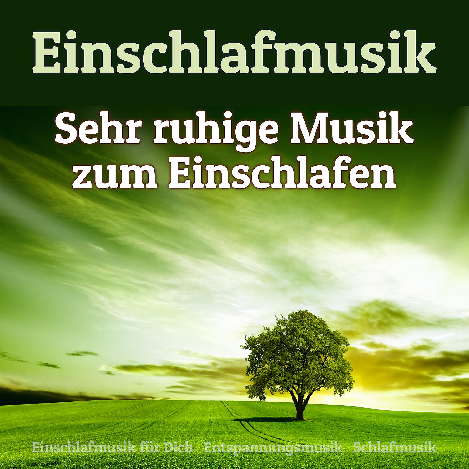 Постер альбома Einschlafmusik - Sehr ruhige Musik zum Einschlafen