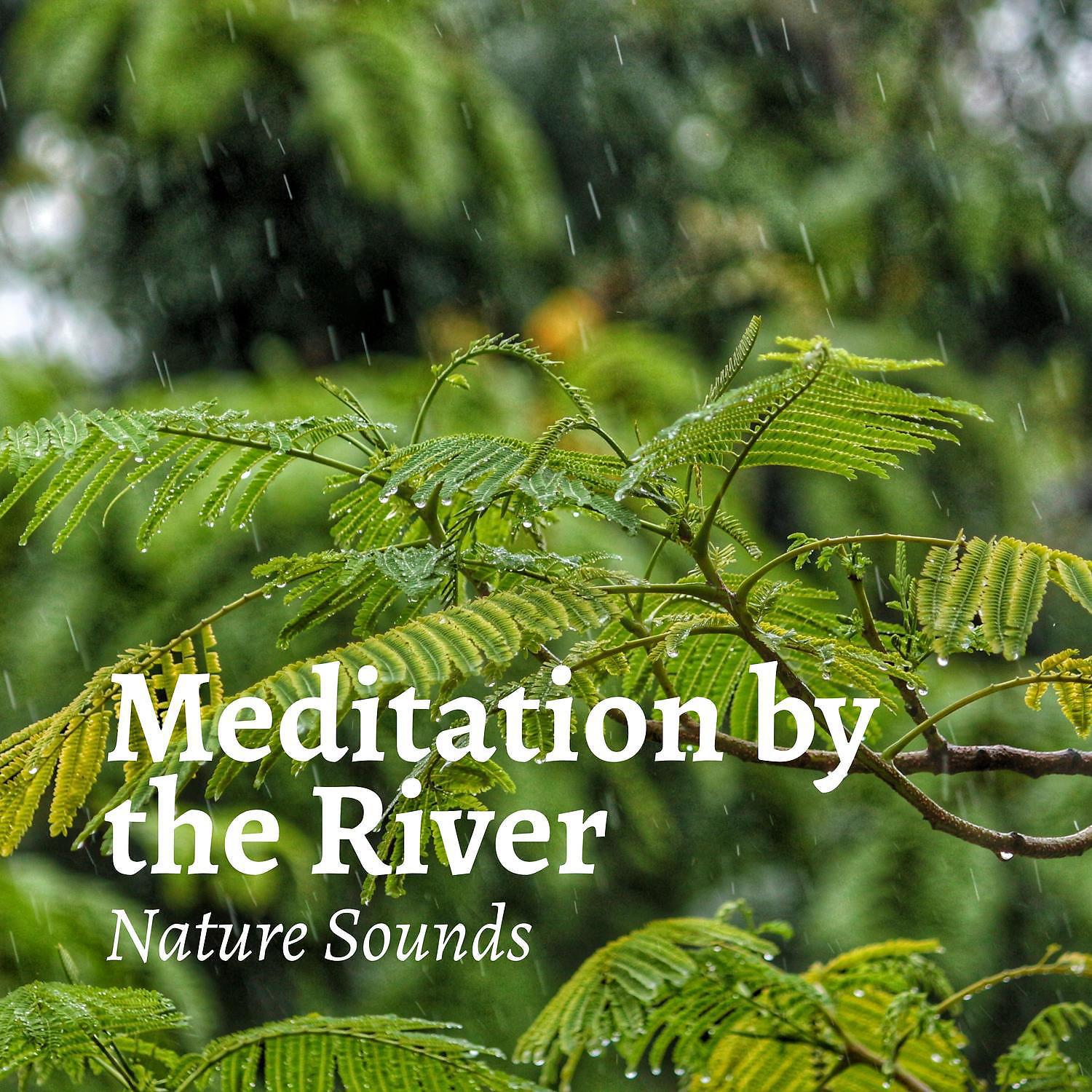 Постер альбома Meditation by the River