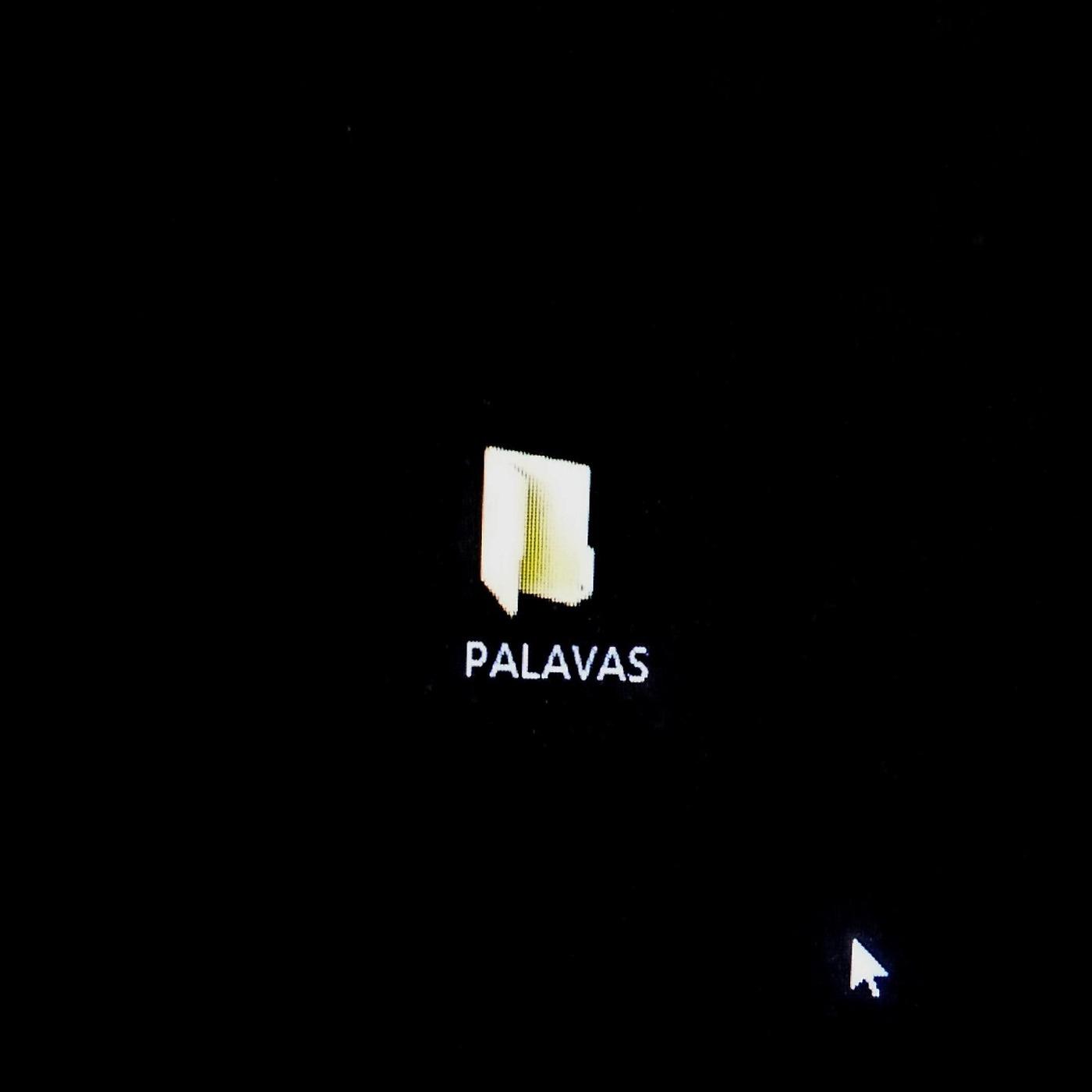 Постер альбома Palavas