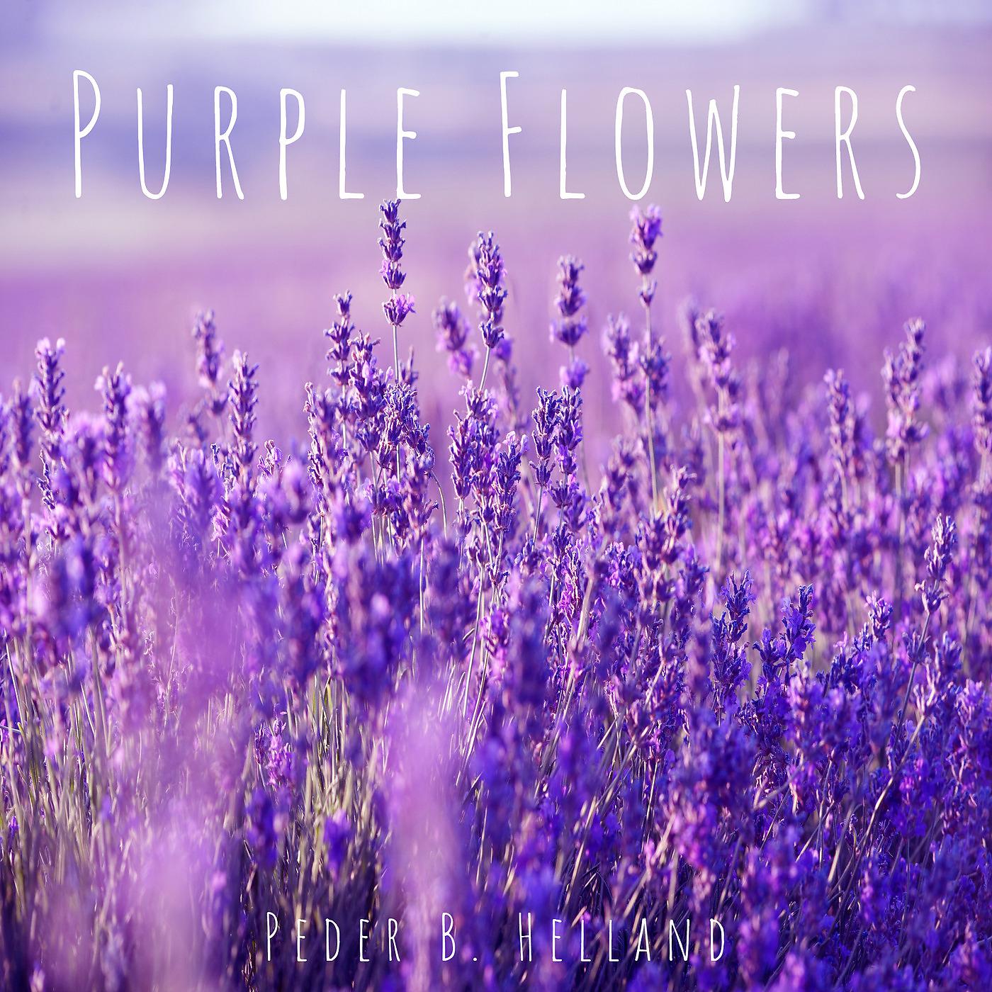 Постер альбома Purple Flowers