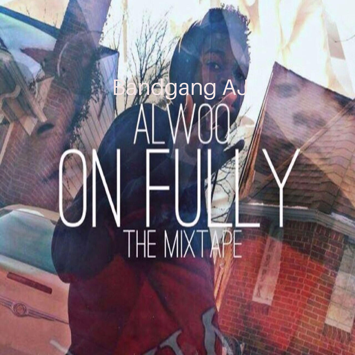 Alwoo - Risk Takers