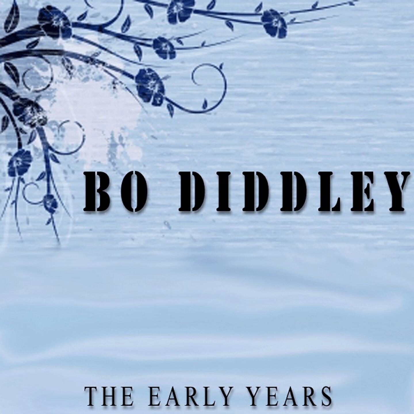 Bo Diddley - Before You Accuse Me