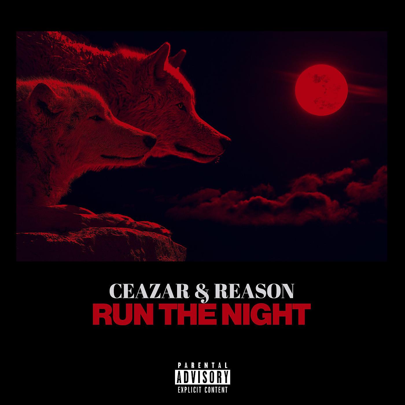 Постер альбома Run the Night