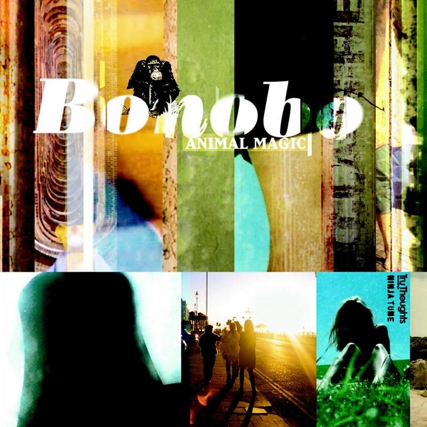 Bonobo - Silver