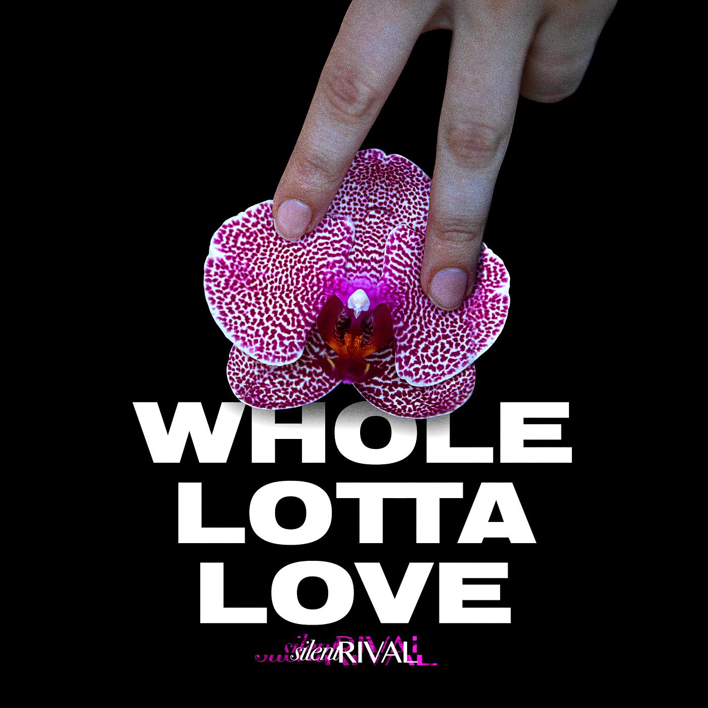 Постер альбома Whole Lotta Love