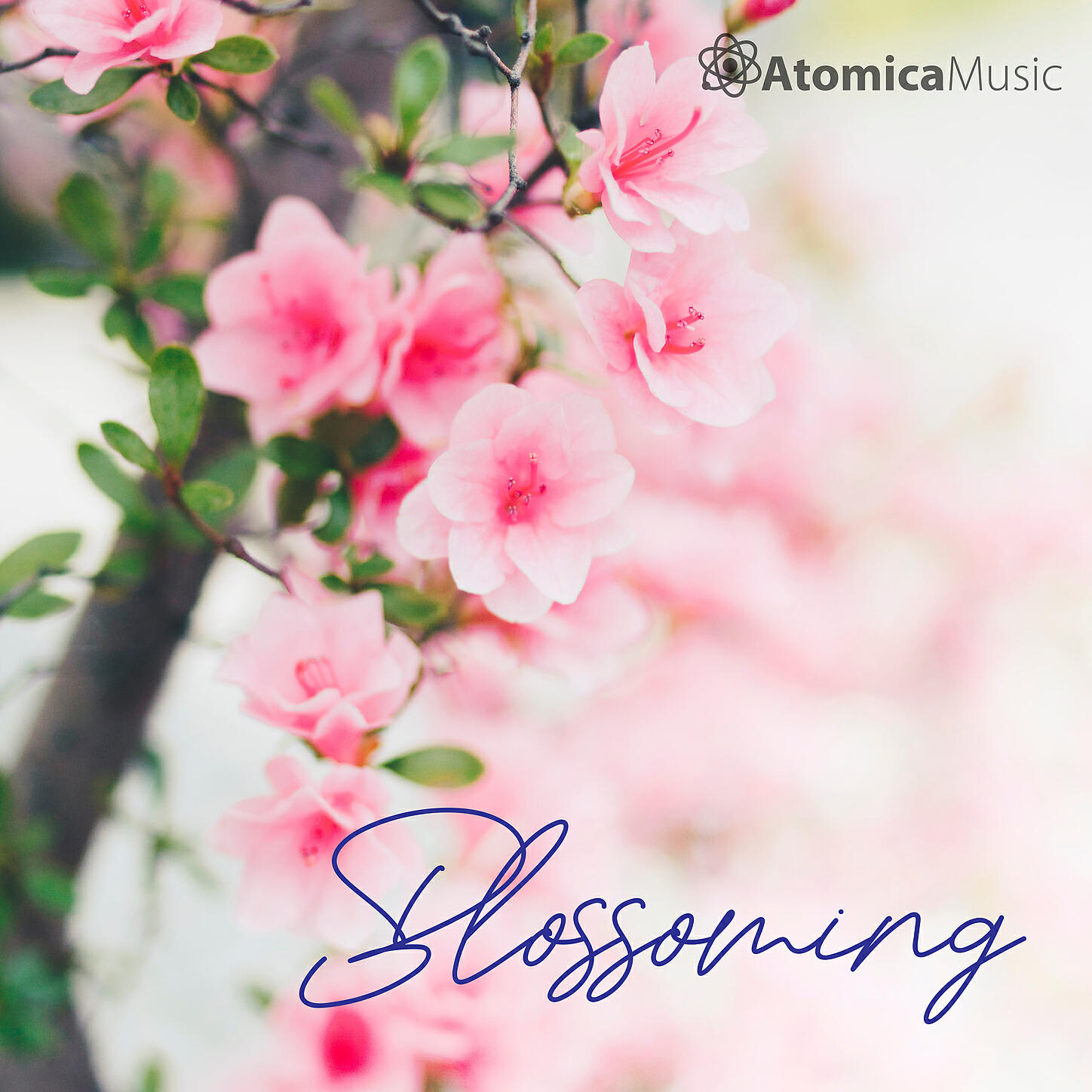 Atomica Music - Gaining Respect