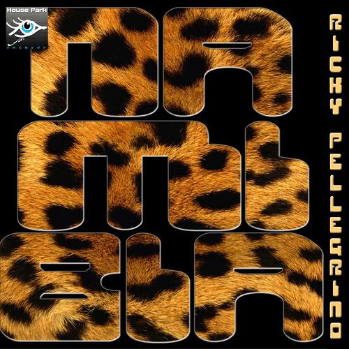 Ricky Pellegrino - Namibia