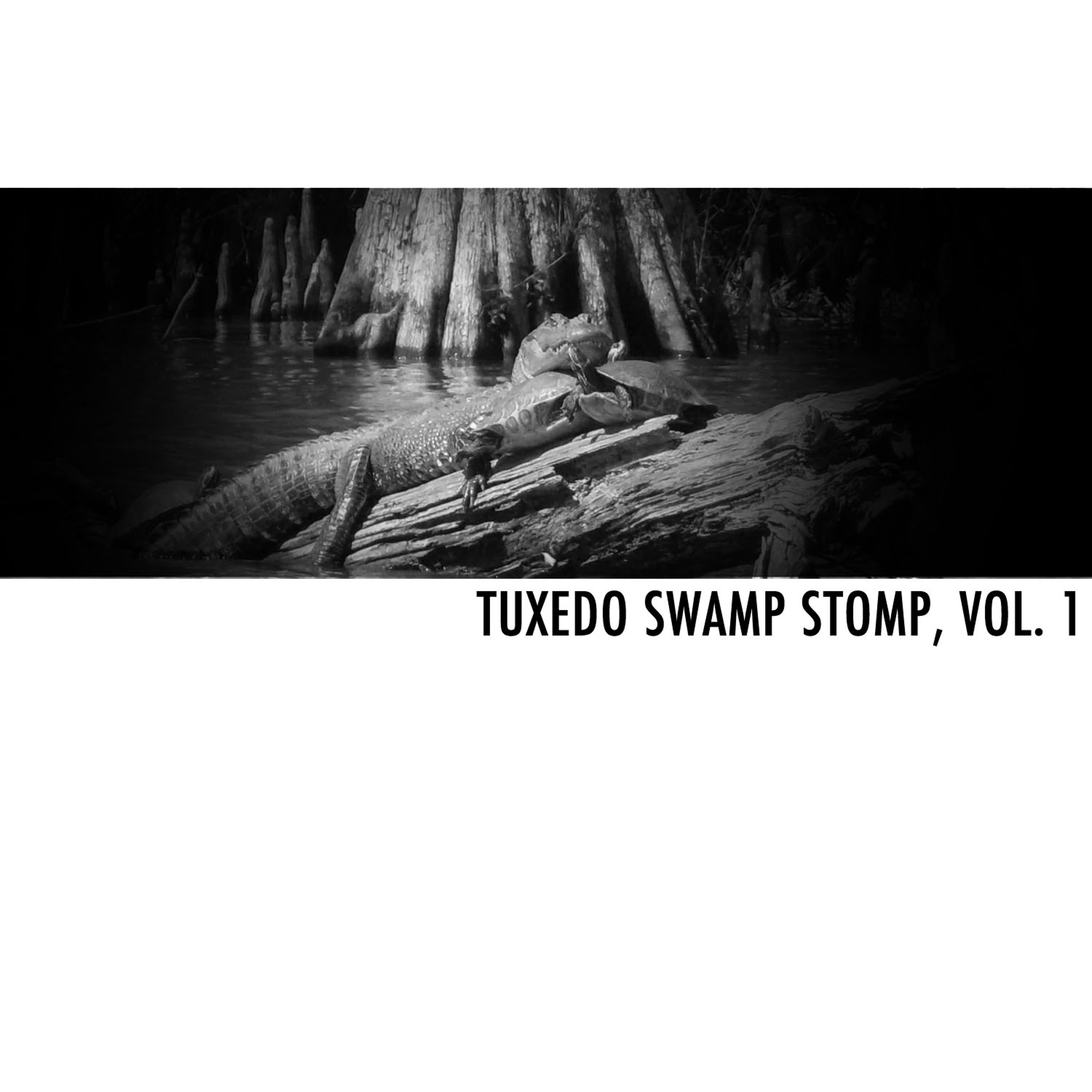 Постер альбома Tuxedo Swamp Stomp, Vol. 1