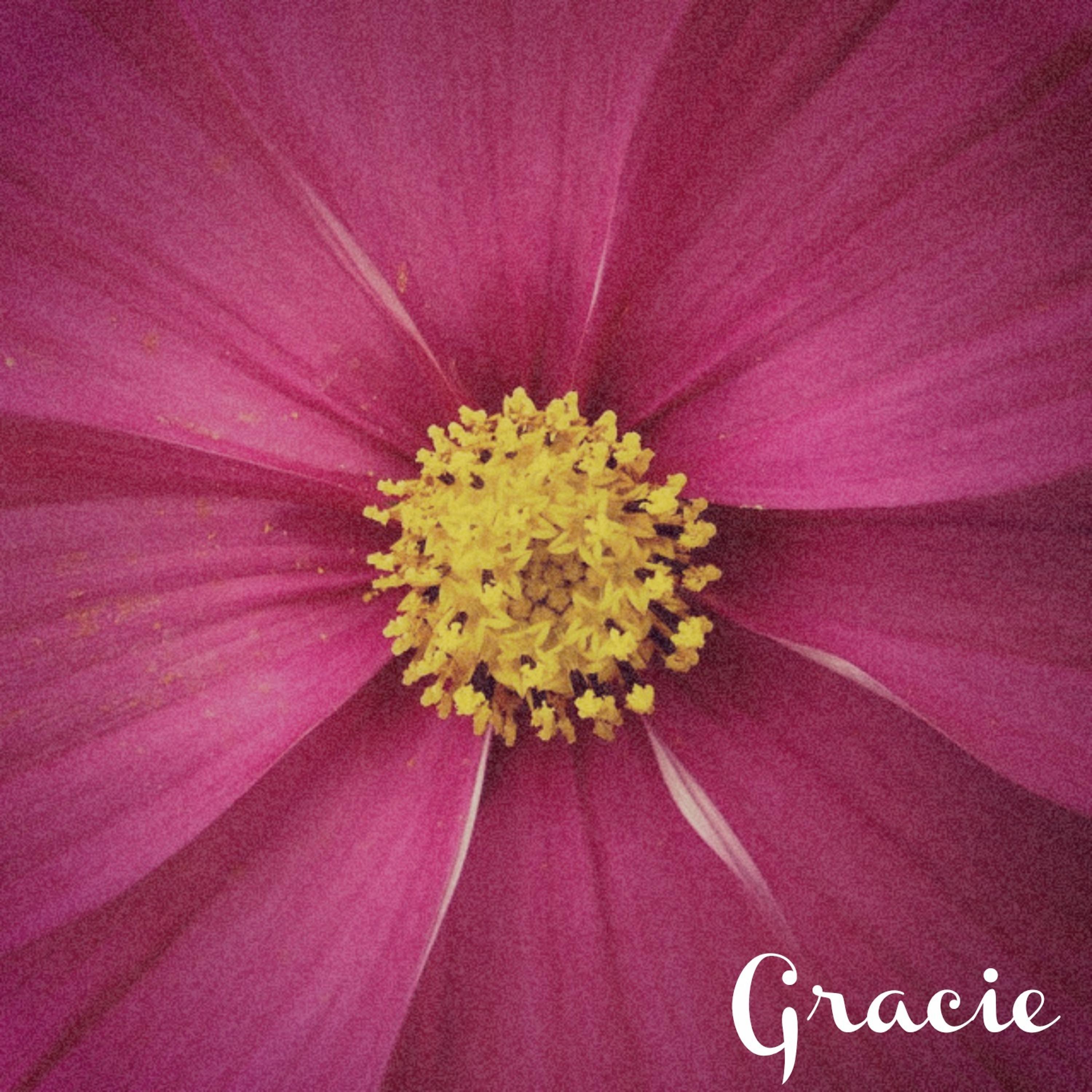 Постер альбома Gracie