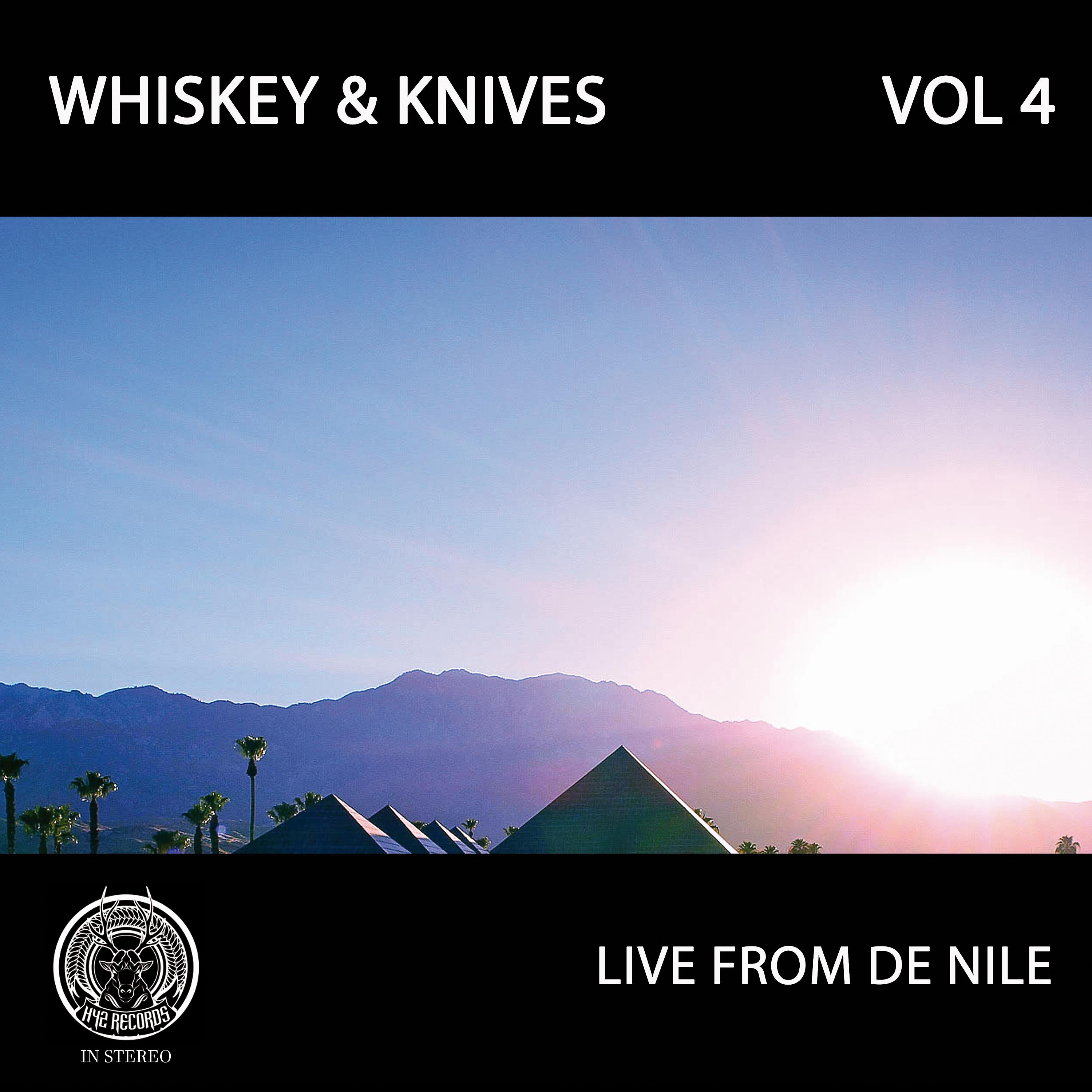 Постер альбома Live from De Nile, Vol IV