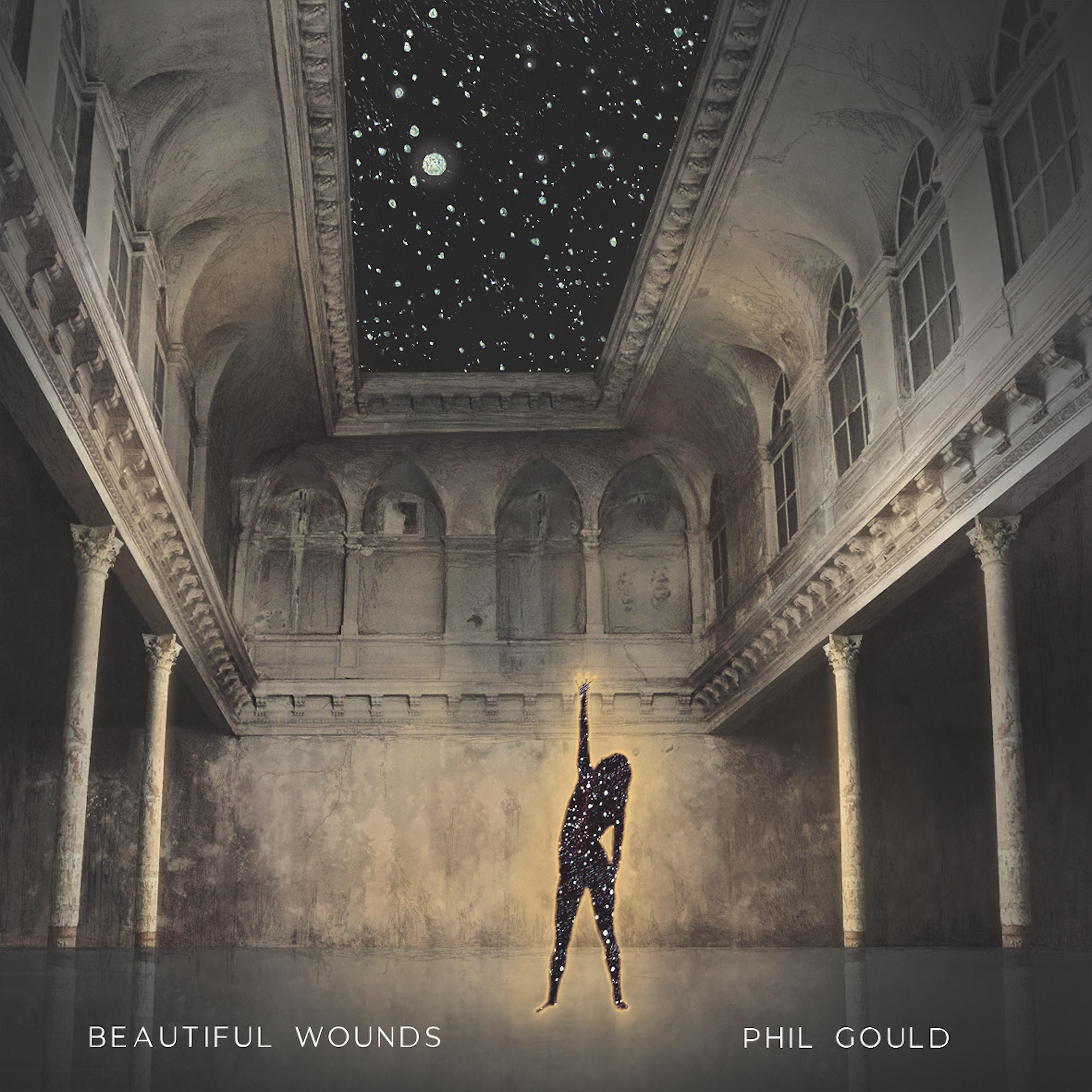 Постер альбома Beautiful Wounds (feat. Diana Winter)