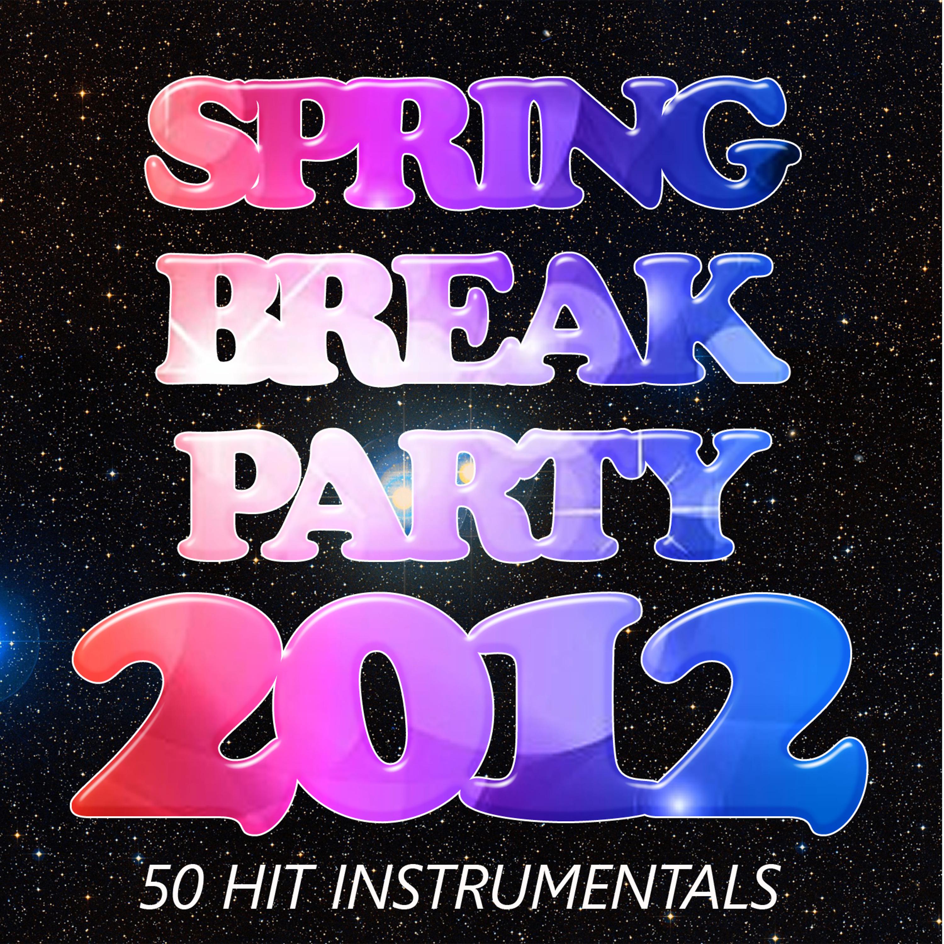 Постер альбома Spring Break Party 2012: 50 Hit Instrumentals