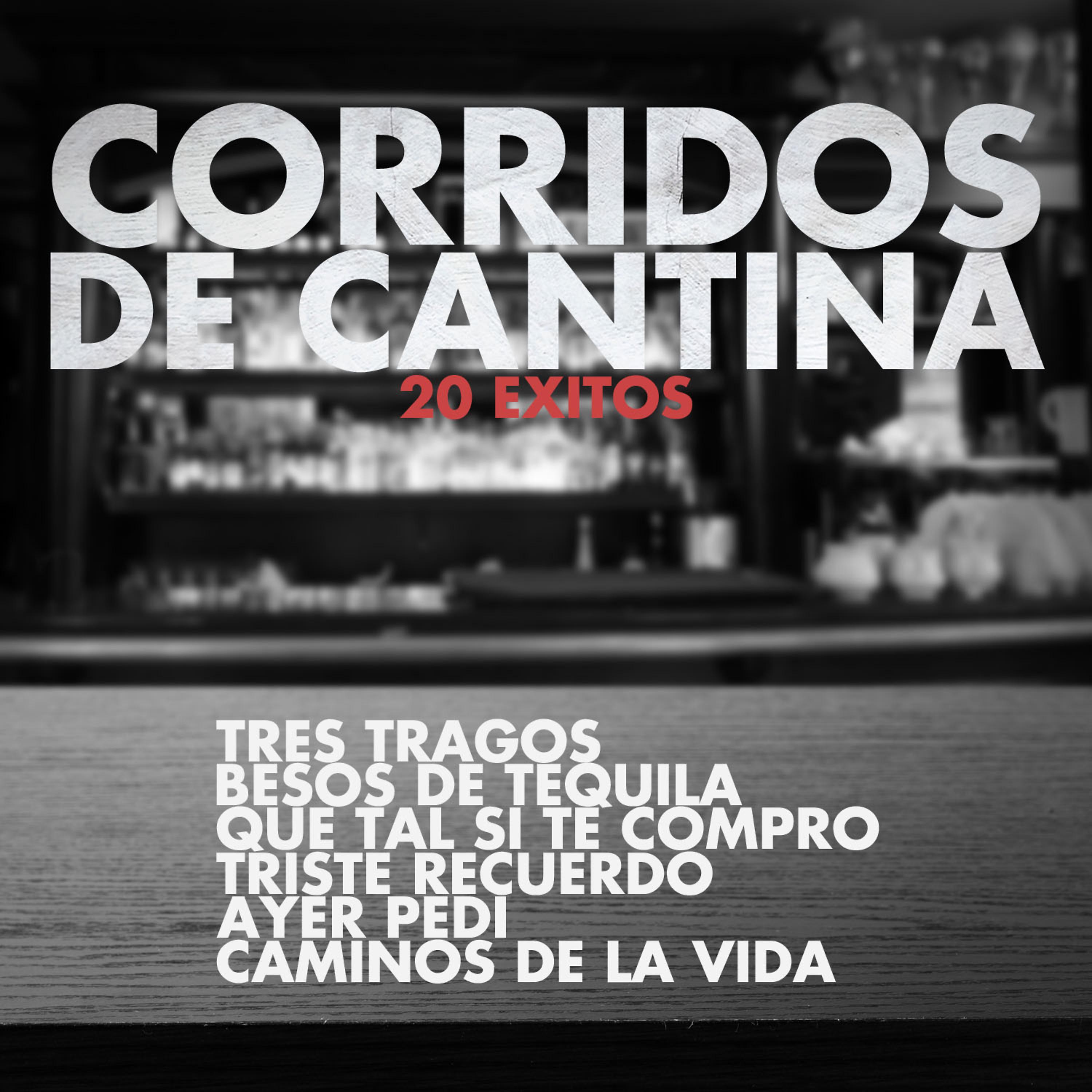Постер альбома Corridos de Cantina, 20 Exitos: Tres Tragos, Besos de Tequila, Que Tal Si Te Compro, Triste Recuerdo, Ayer Pedi, Caminos de la Vida