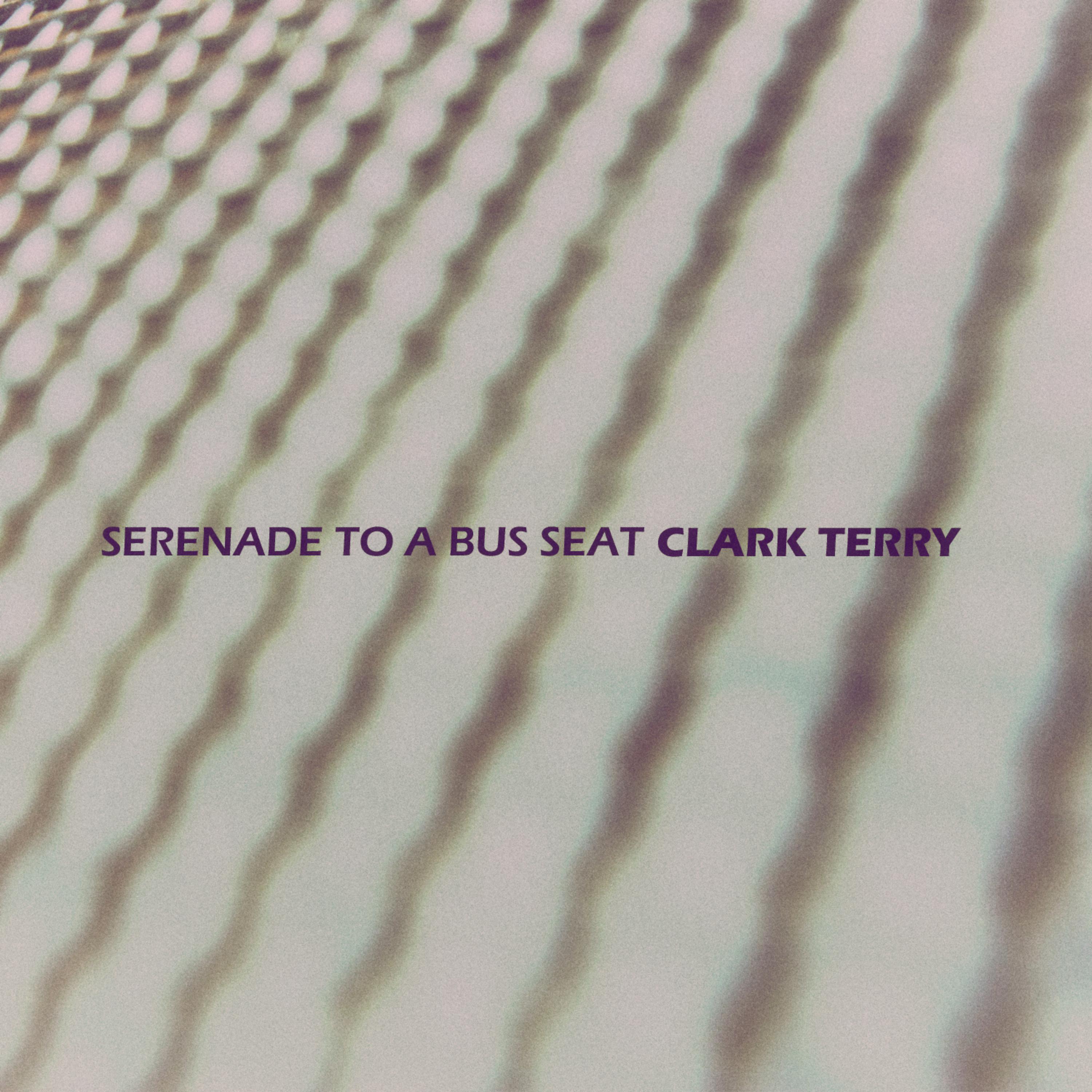 Постер альбома Serenade to a Bus Seat