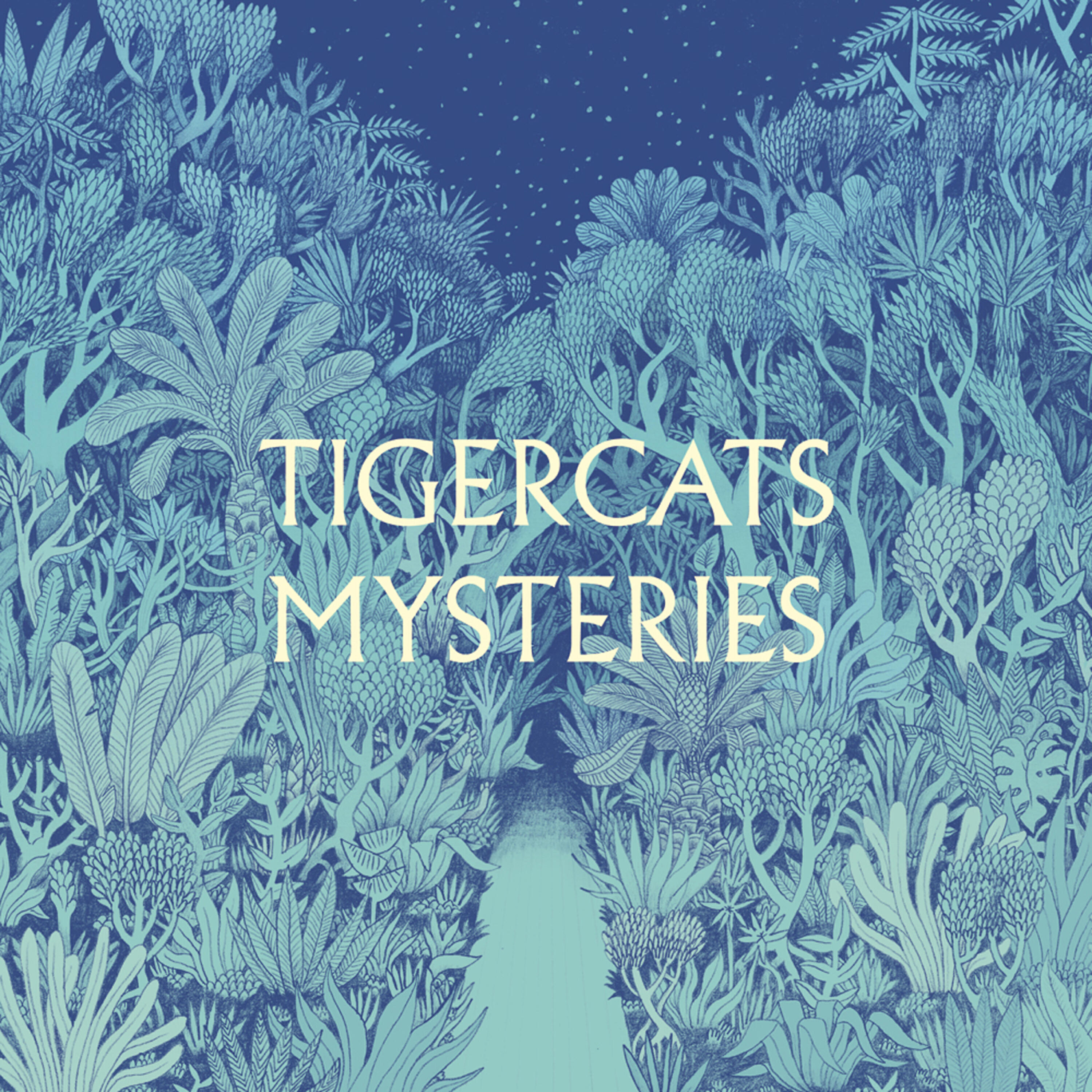 Tigercats - Too Sad to Tell You