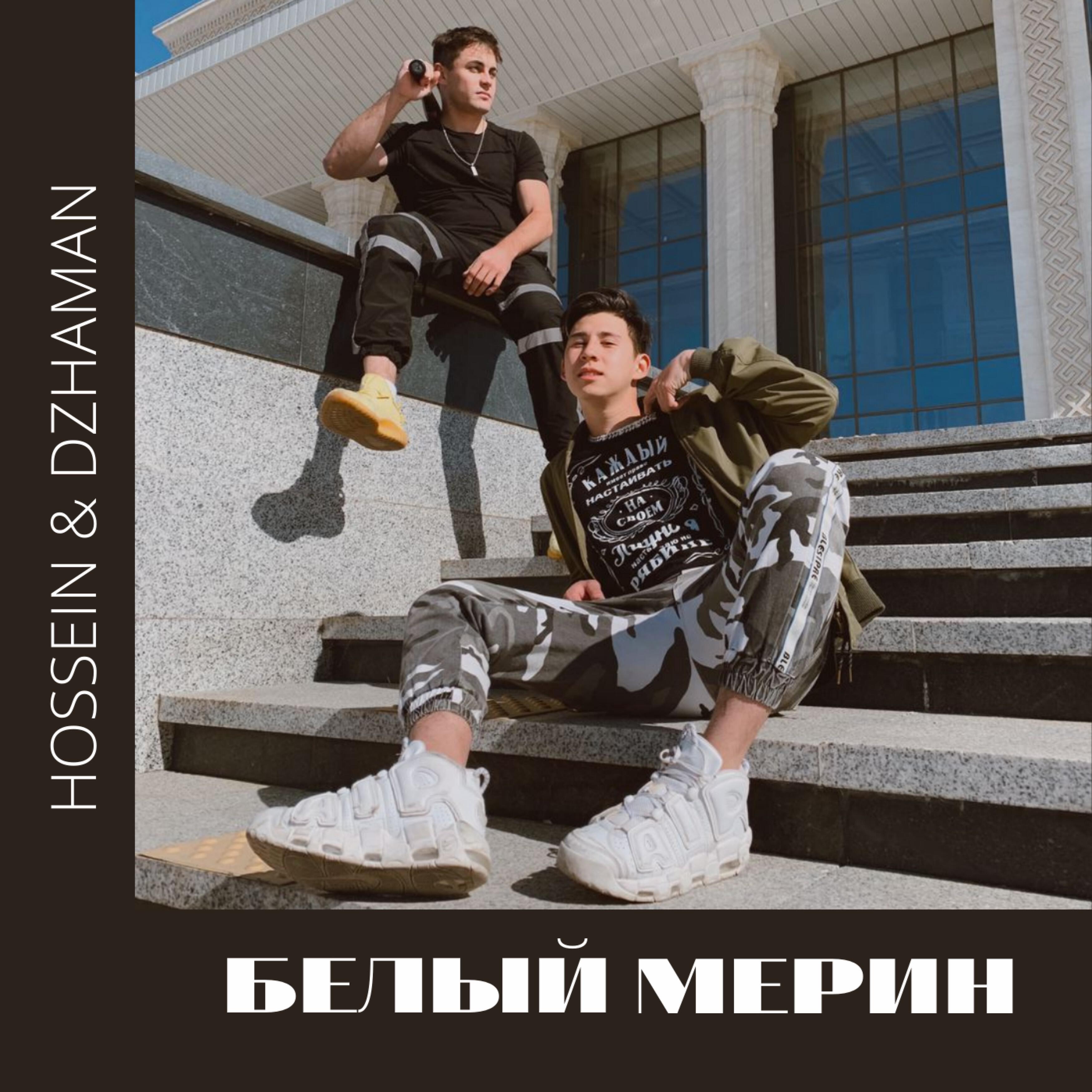 HOSSEIN - Белый мерин