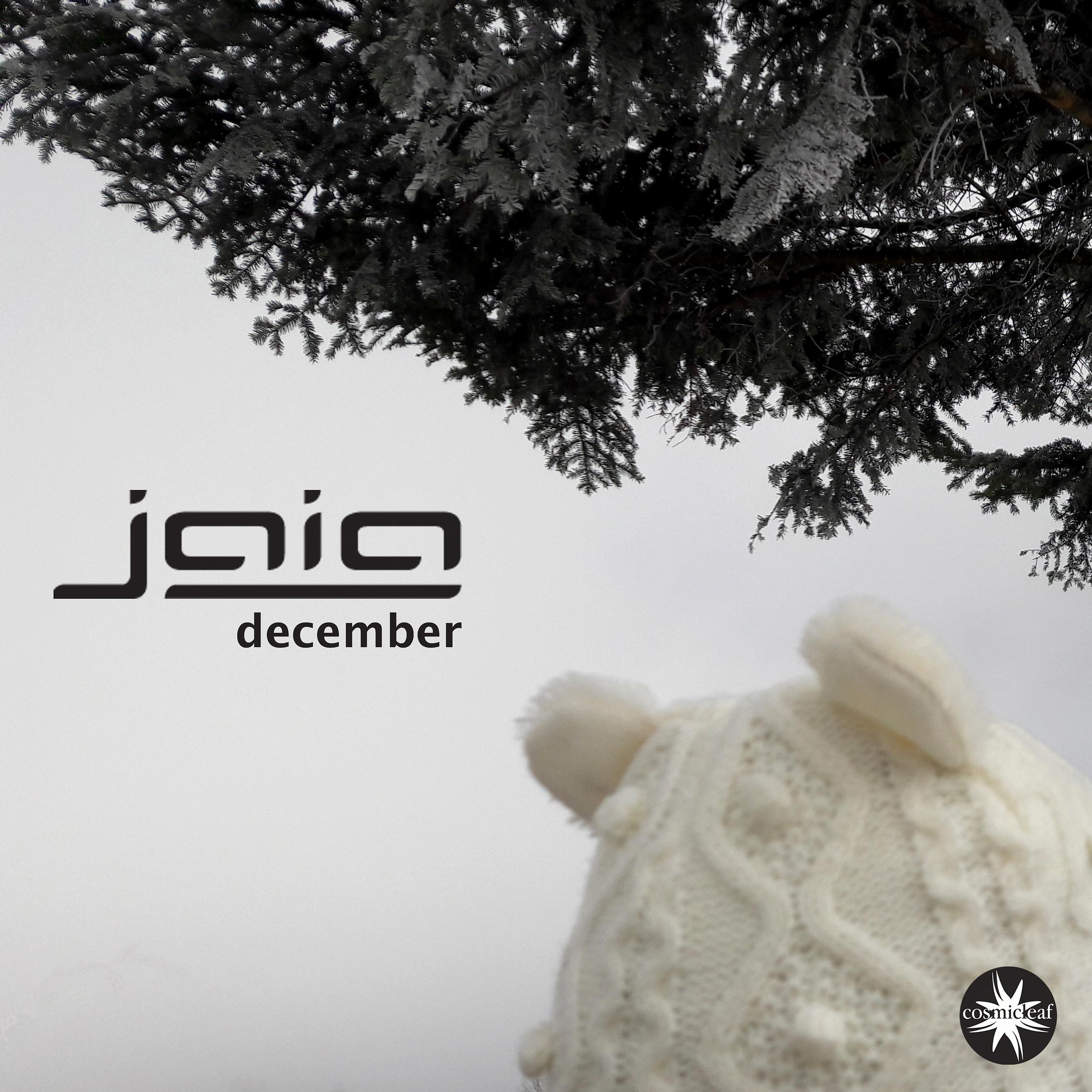 Постер альбома December