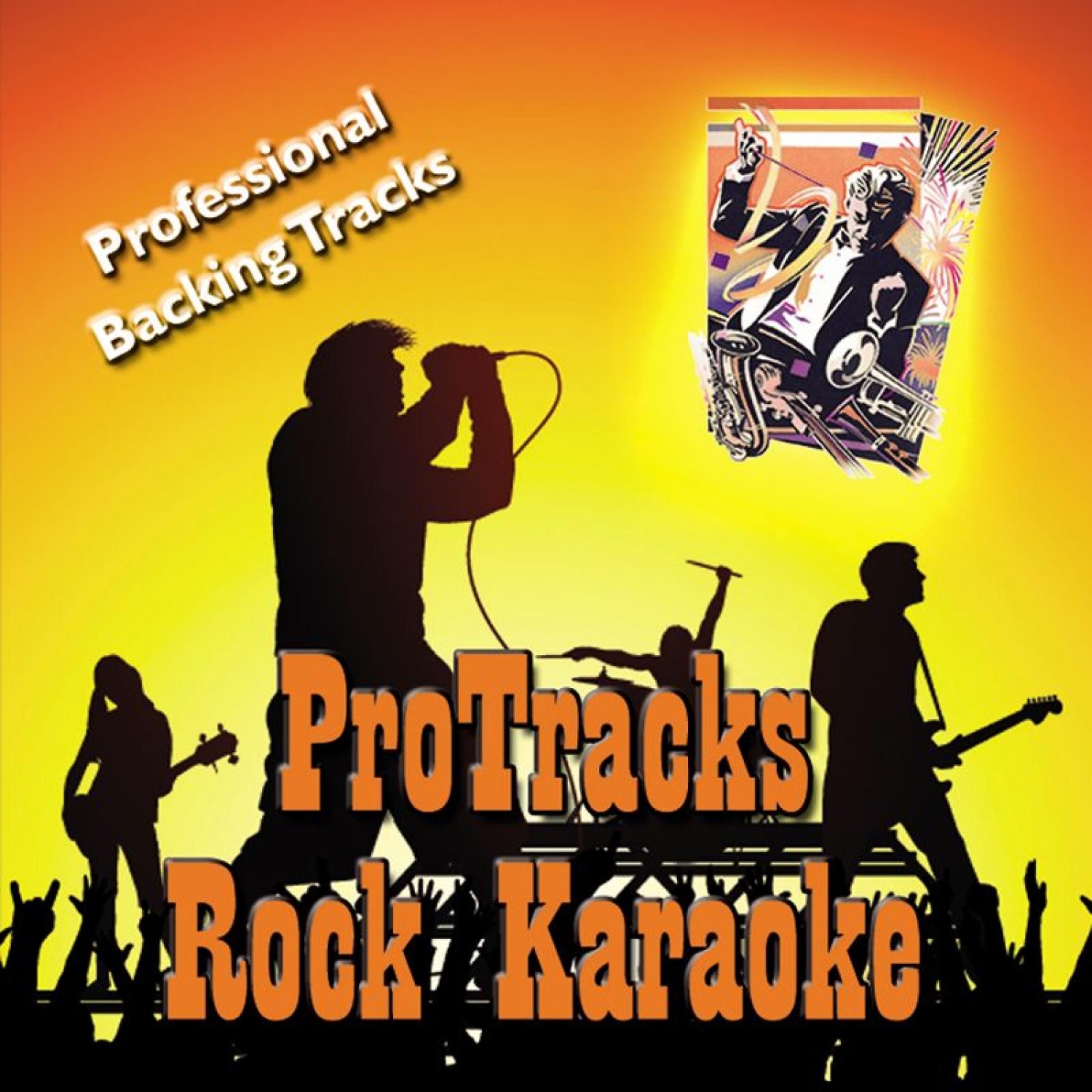 Постер альбома Karaoke - Rock January 2005