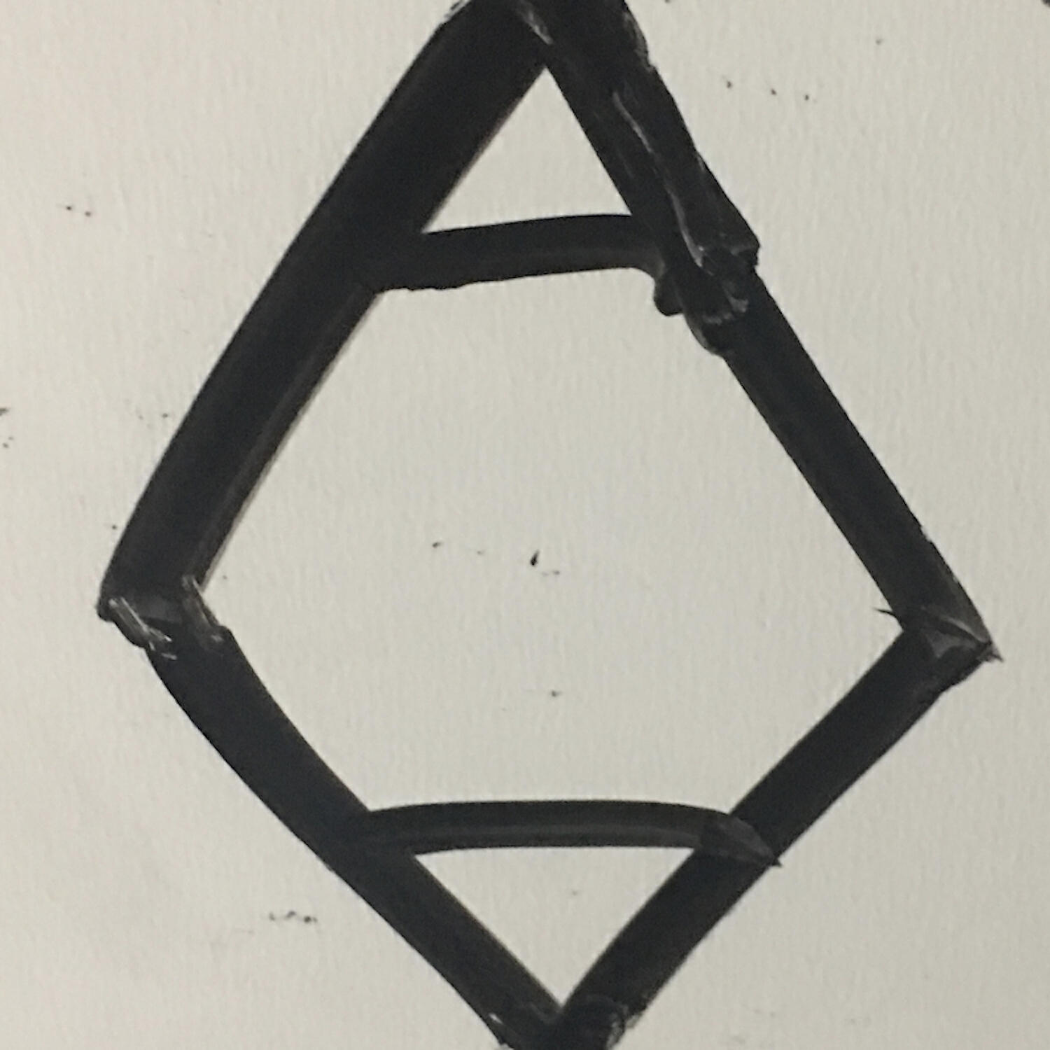 ANOM ALEEZ - Shapeshifter