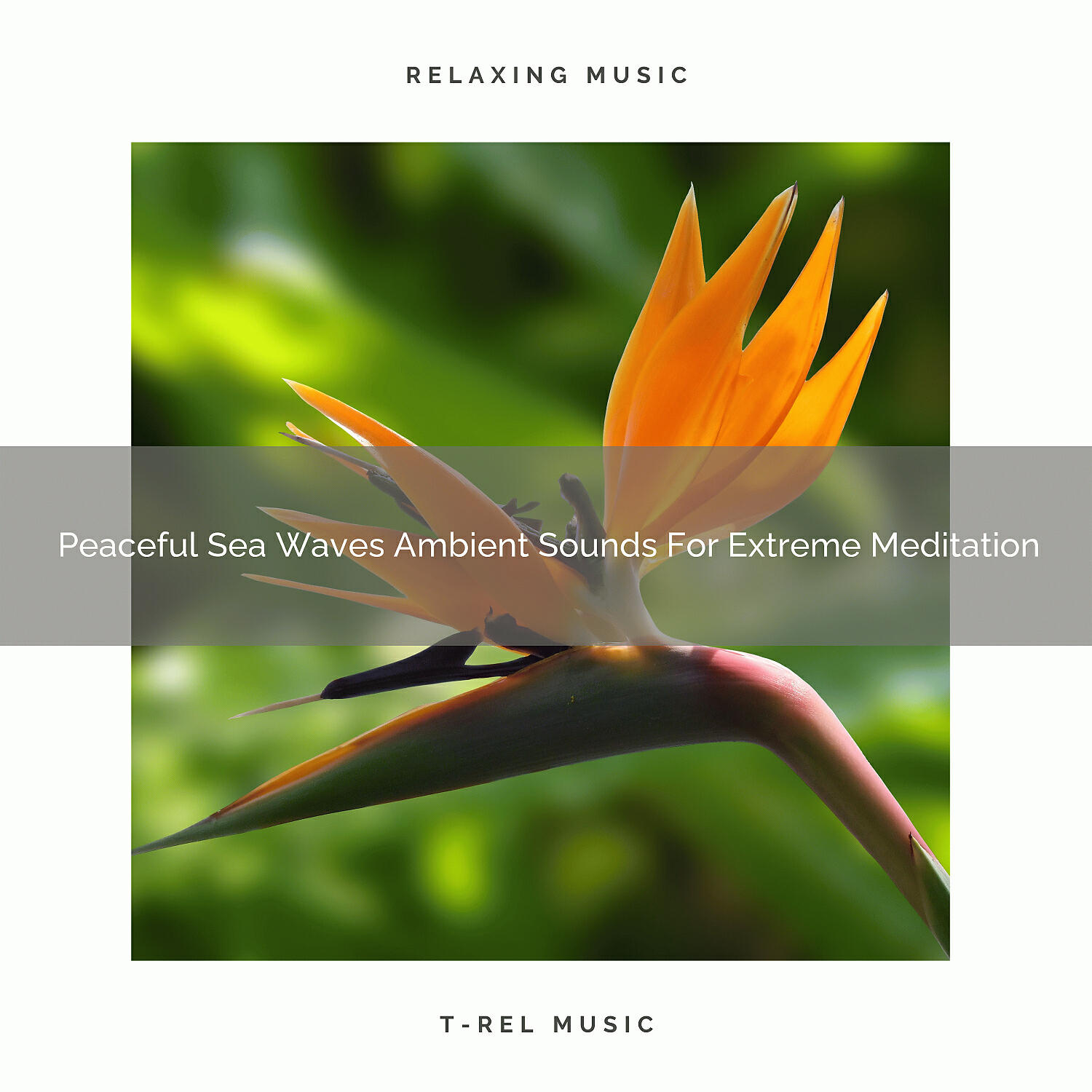 Timeless Relax - Peaceful Sea Waves Ambient Sounds For Extreme Meditation